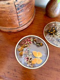 Taxidermy Butterflies in Convex Glass