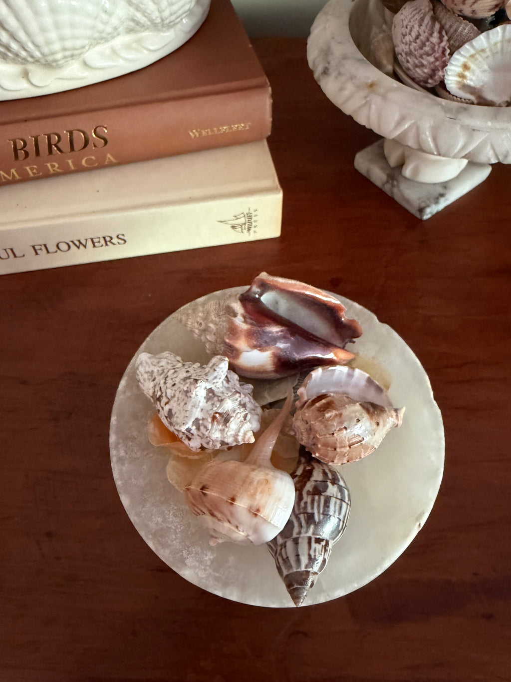 Mini Spanish Alabaster Compote and Shells