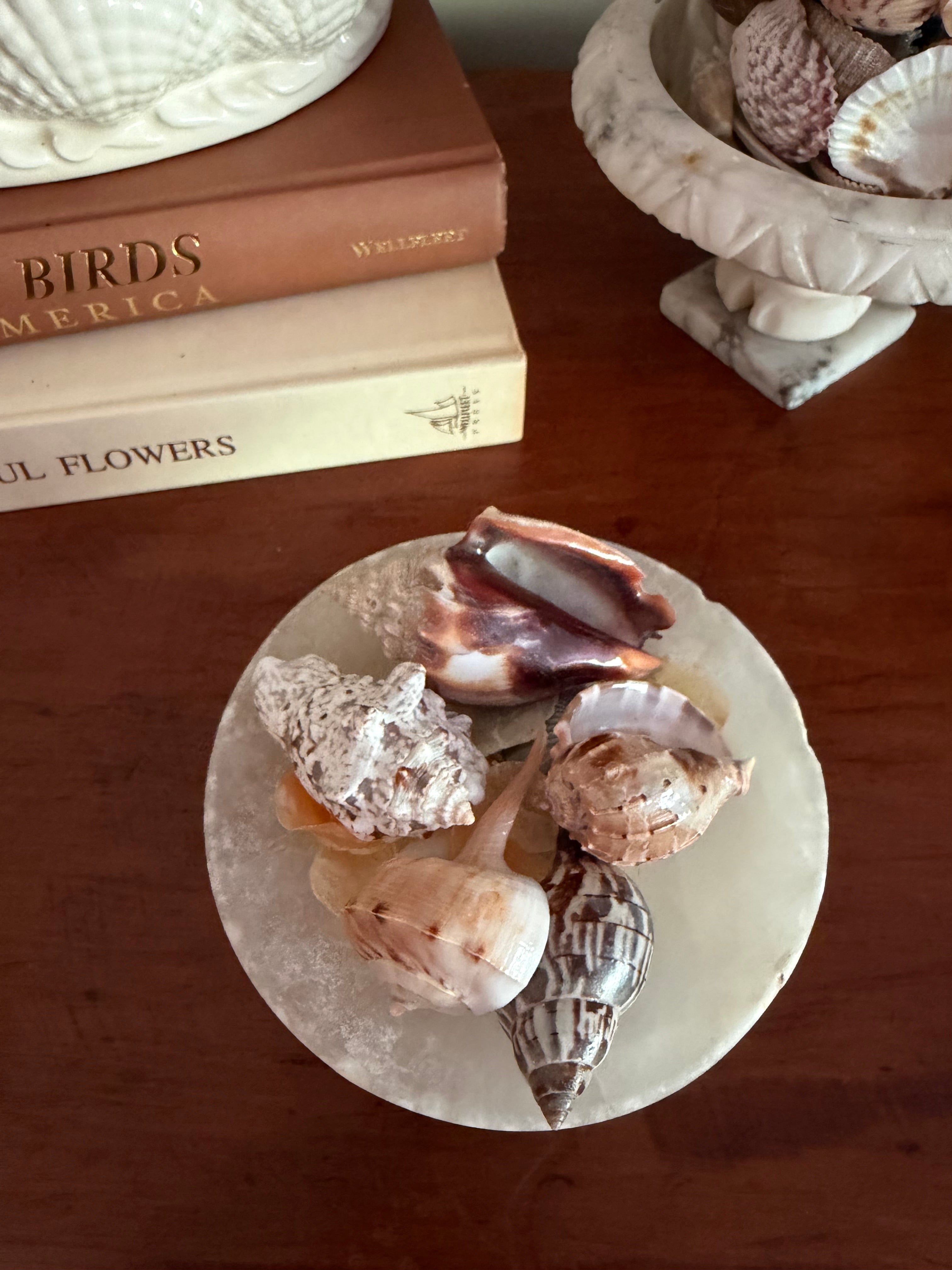 Mini Spanish Alabaster Compote and Shells