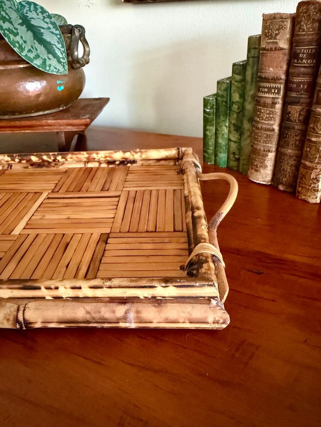 Vintage Tortoise Shell Bamboo Tray
