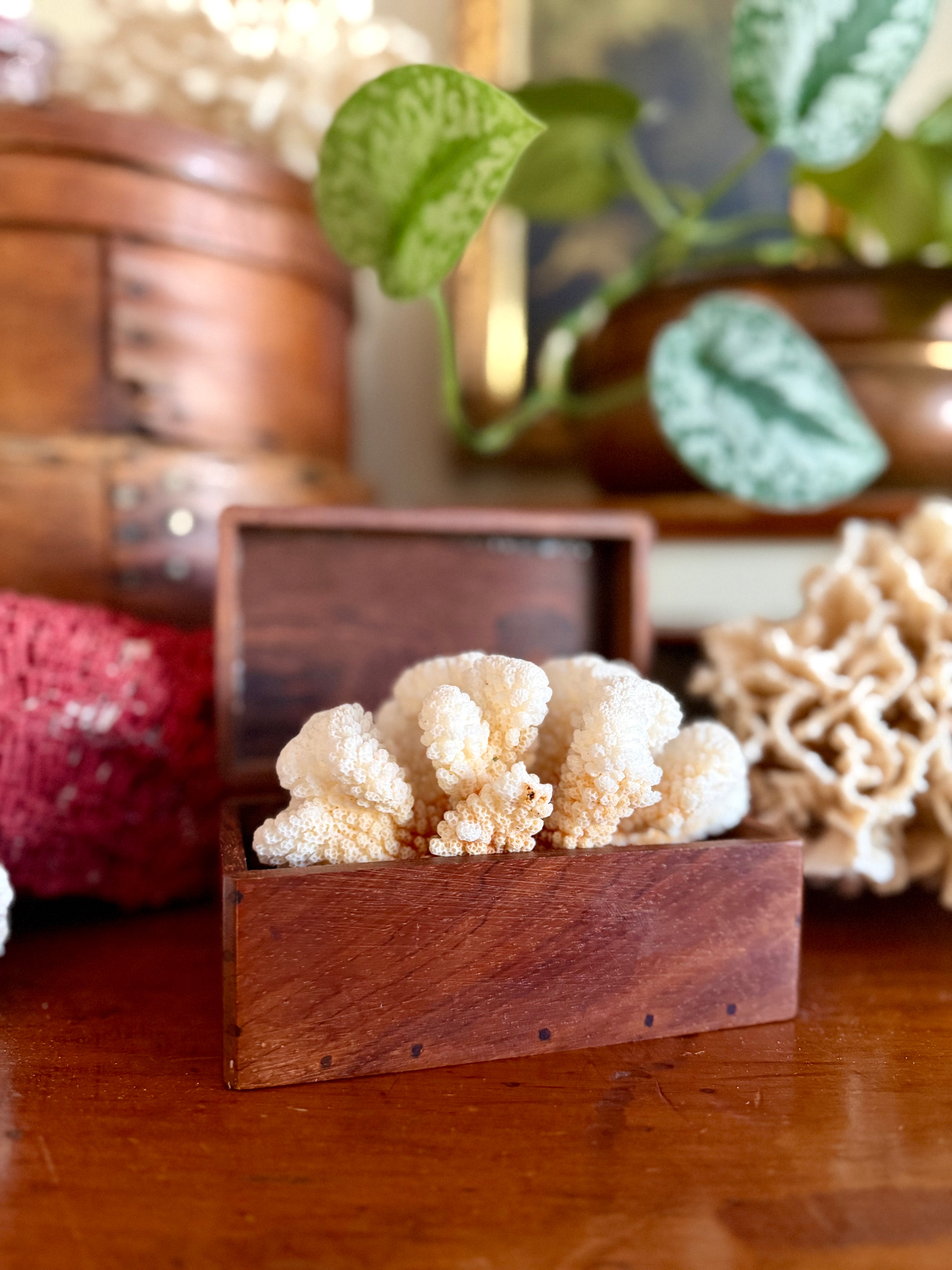 Small Wooden Handcrafted Keepsake Box