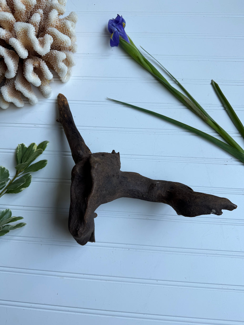 Unique Figural Driftwood Sculpture