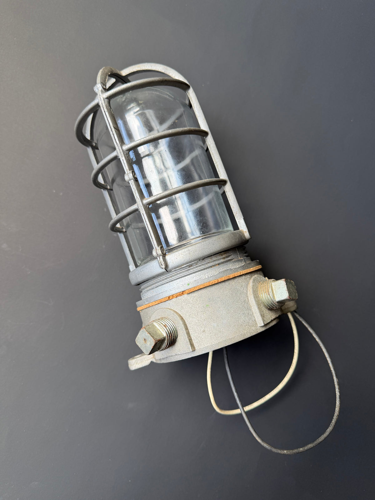 Industrial Cage Light