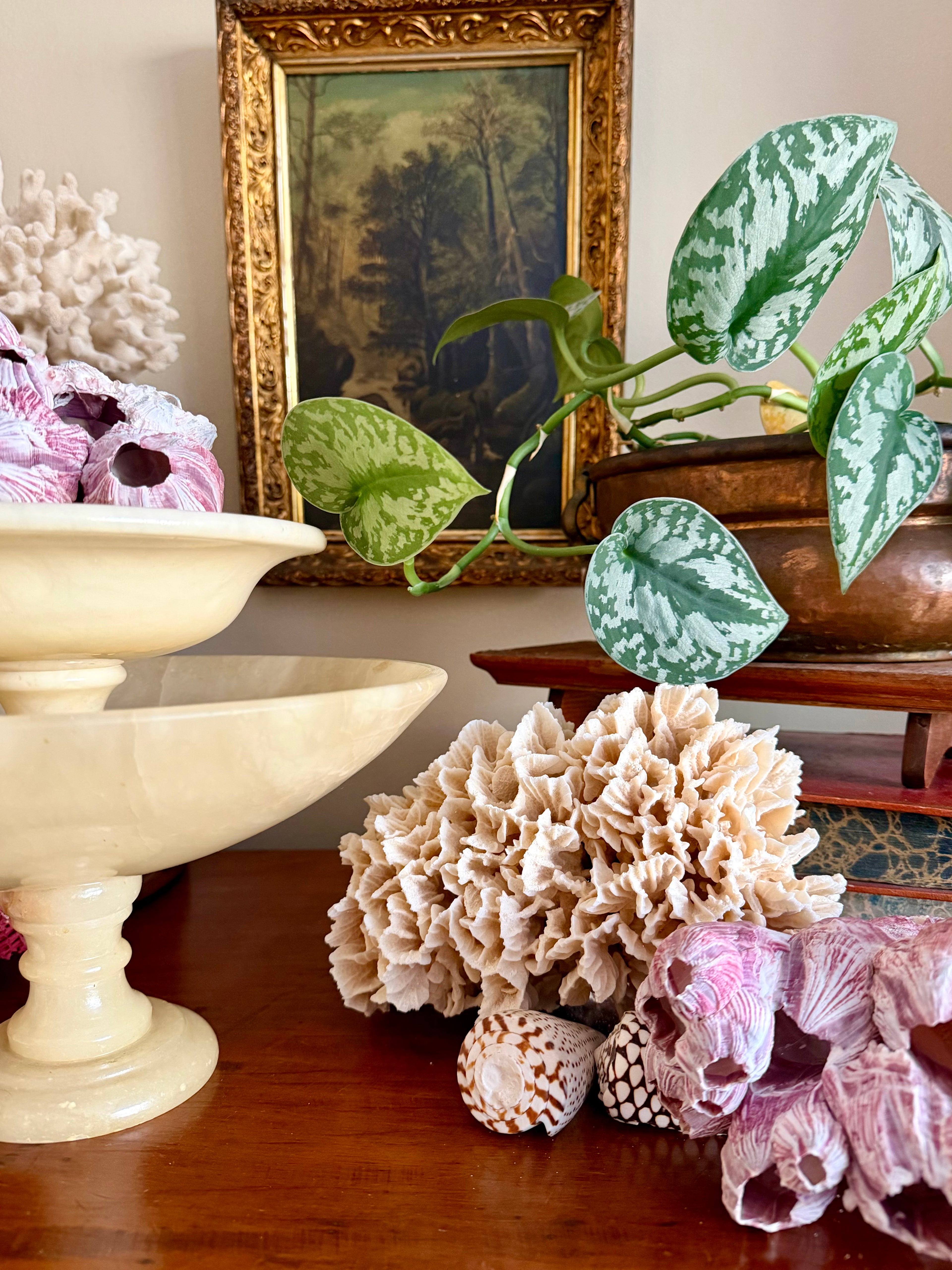 Alabaster Compote Bundle (set of 2)