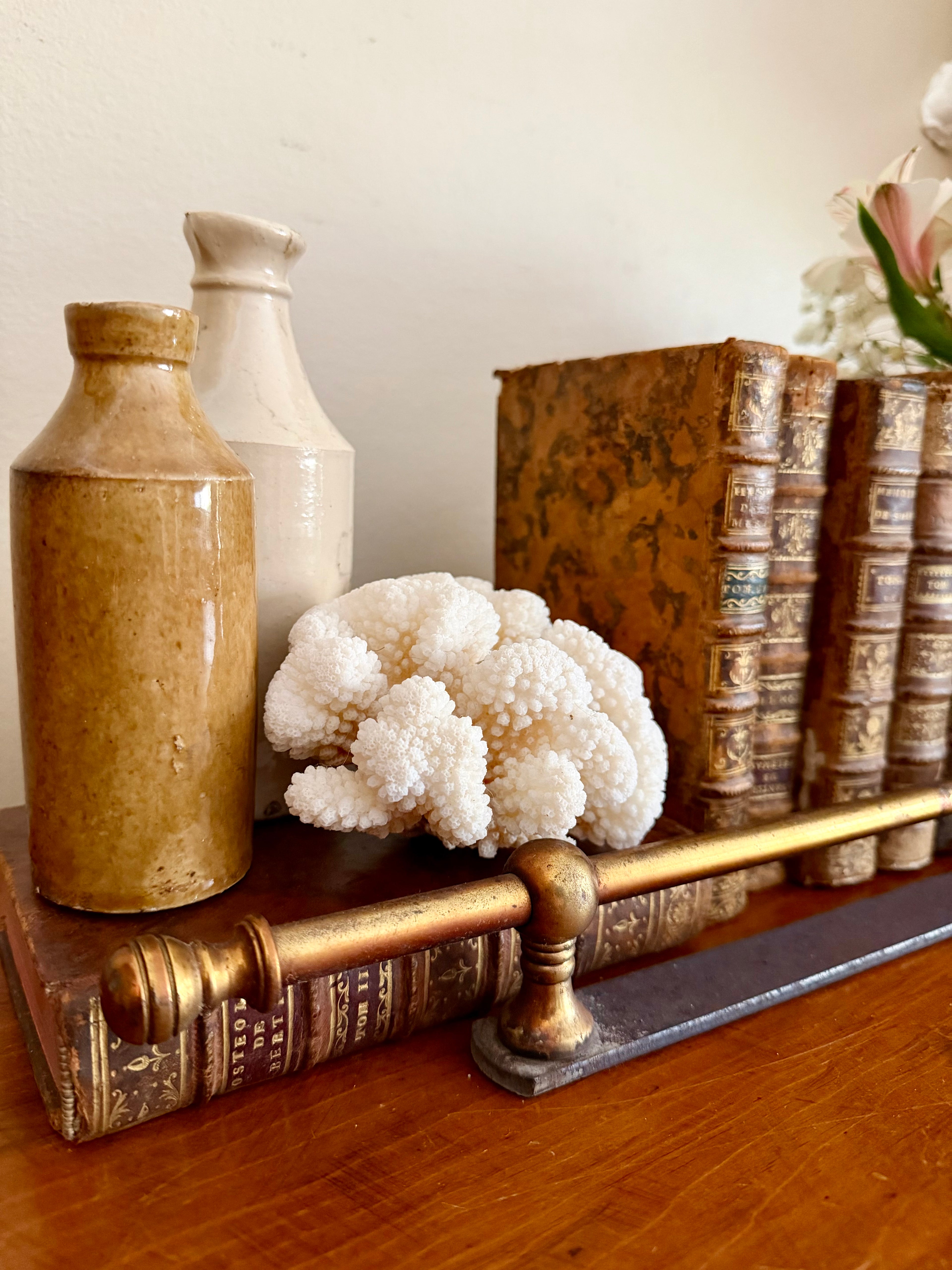 Brass Shelf Rail (salvage)