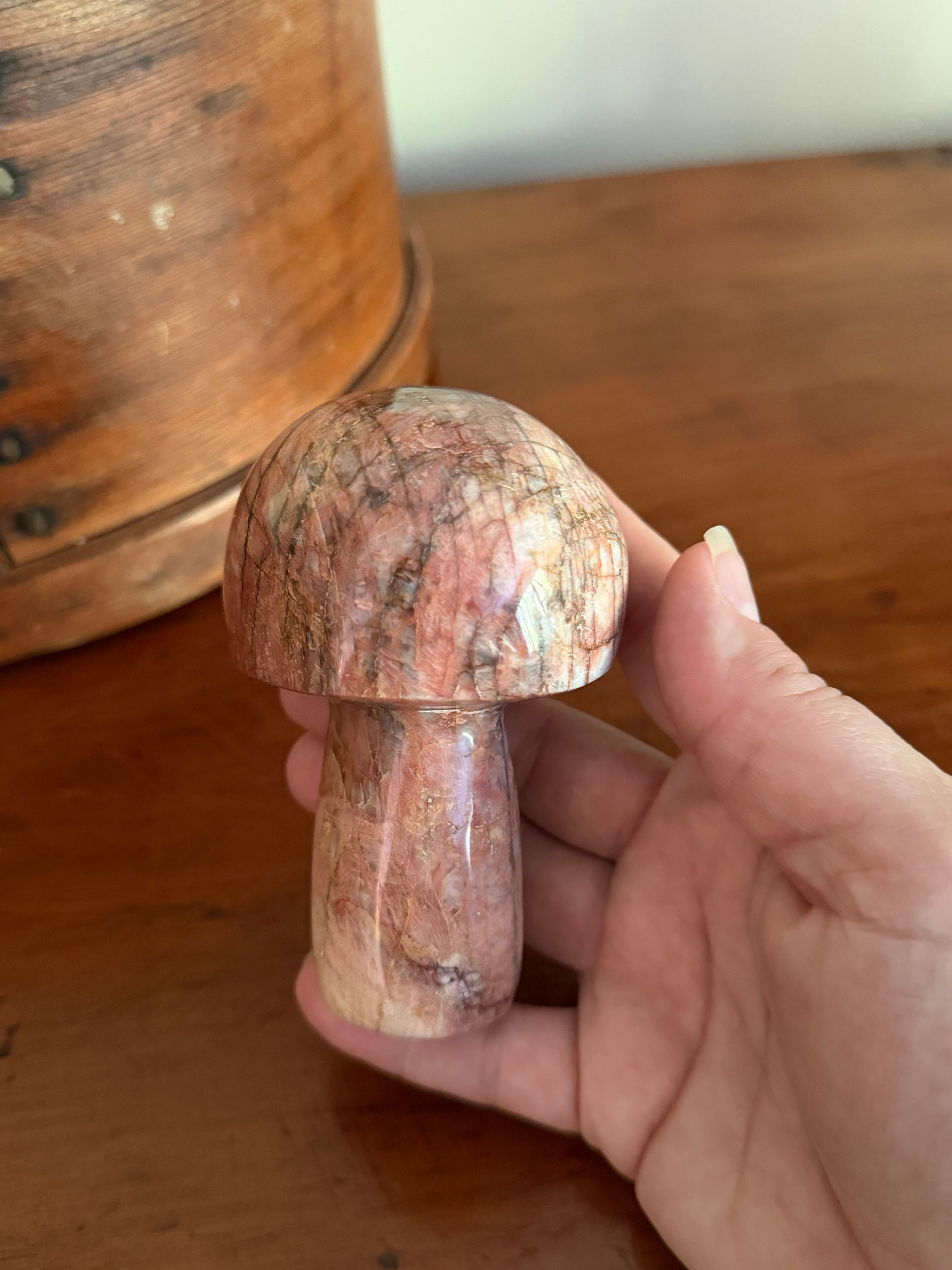 Stone Mushroom