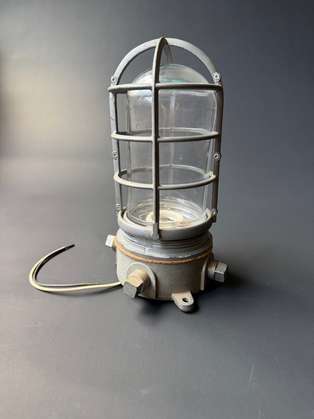 Industrial Cage Light