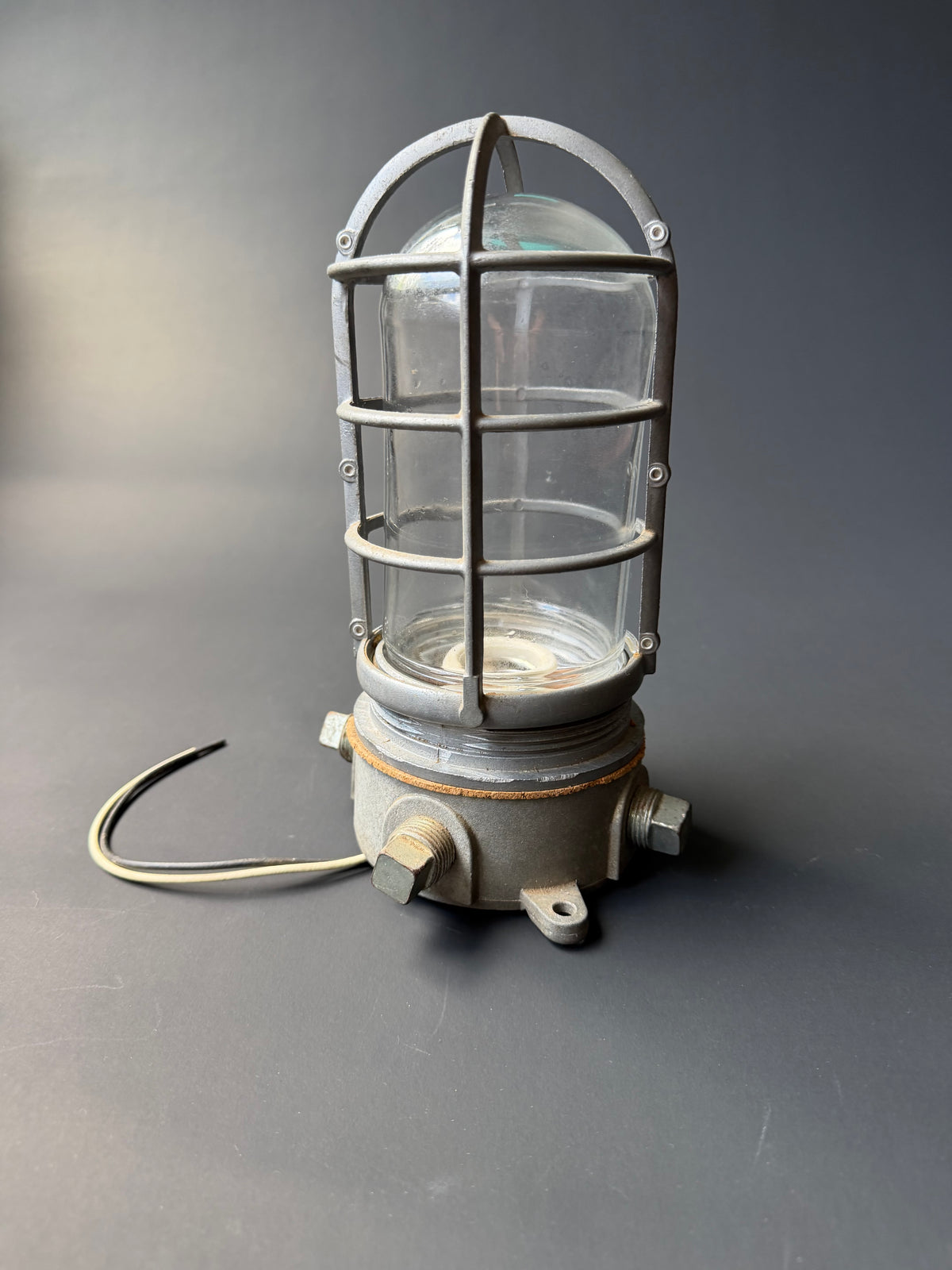 Industrial Cage Light