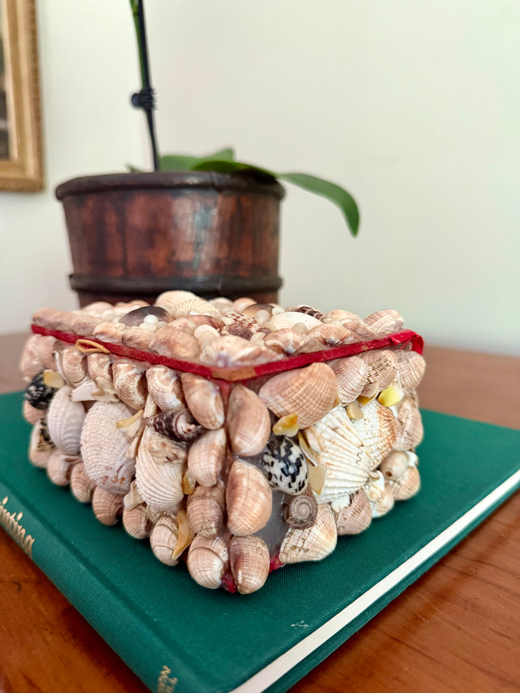 Small Vintage Shell Box