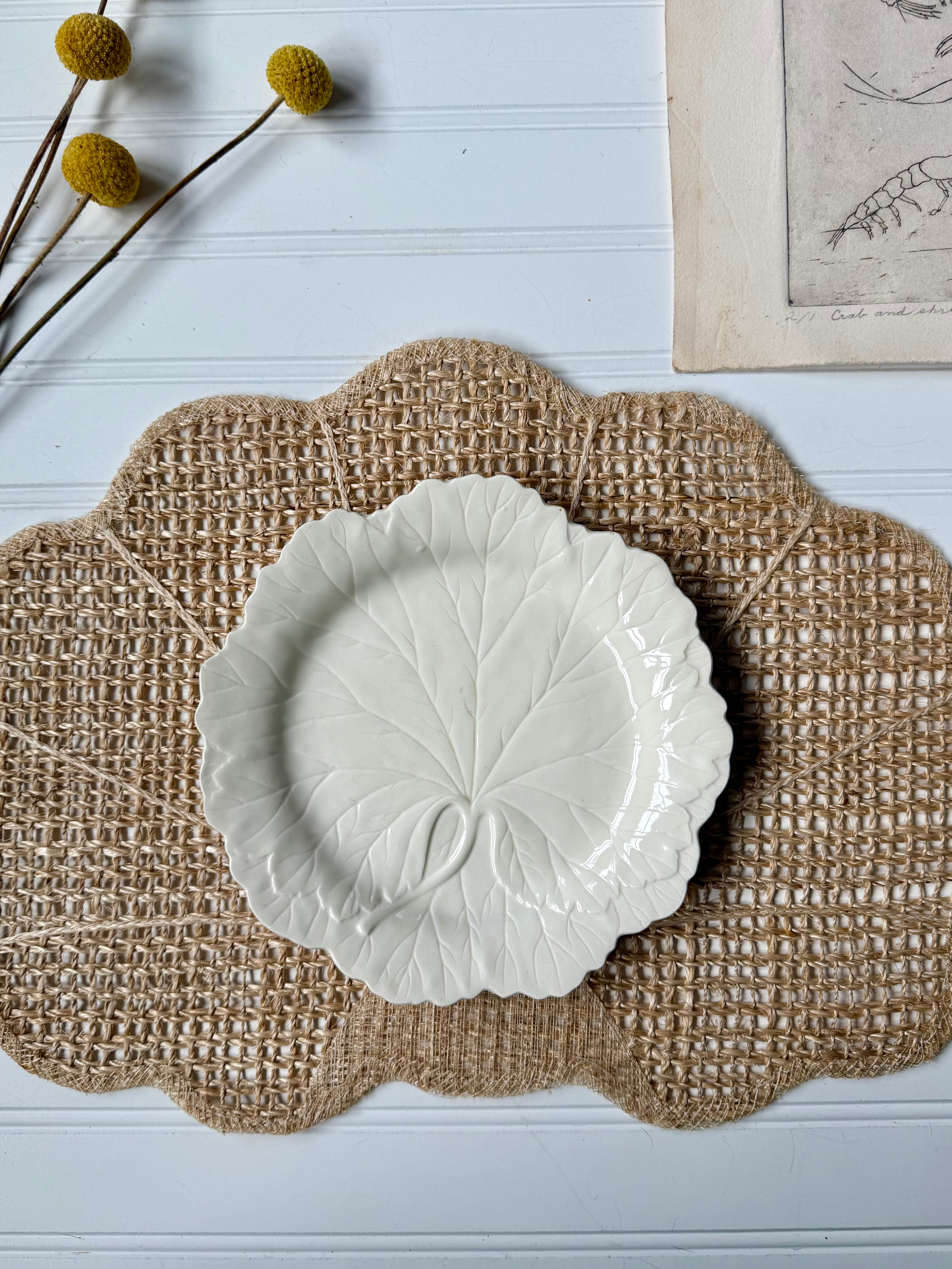 Wedgewood Plate