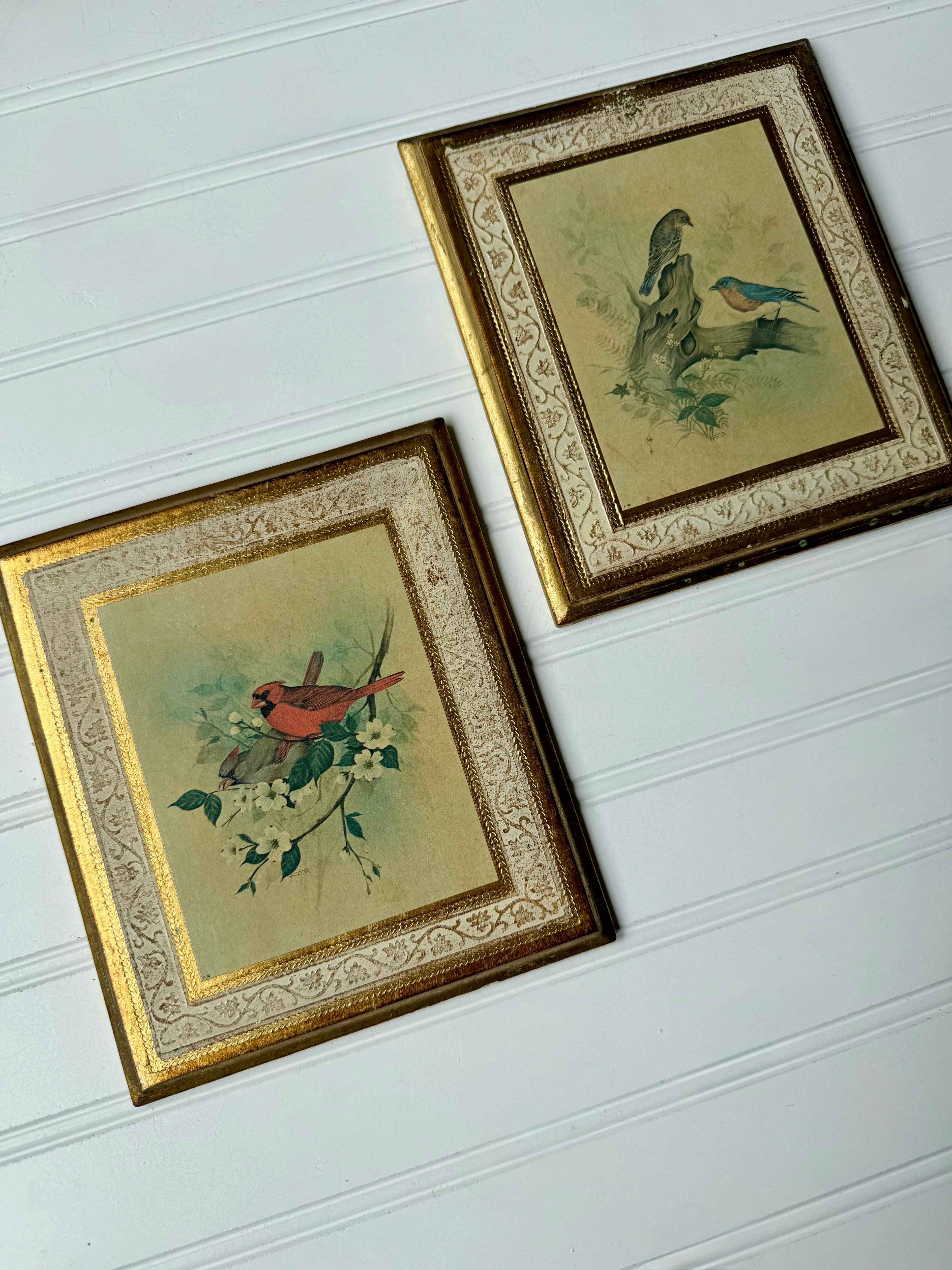 Bird Art on Wooden Florentine Plaques