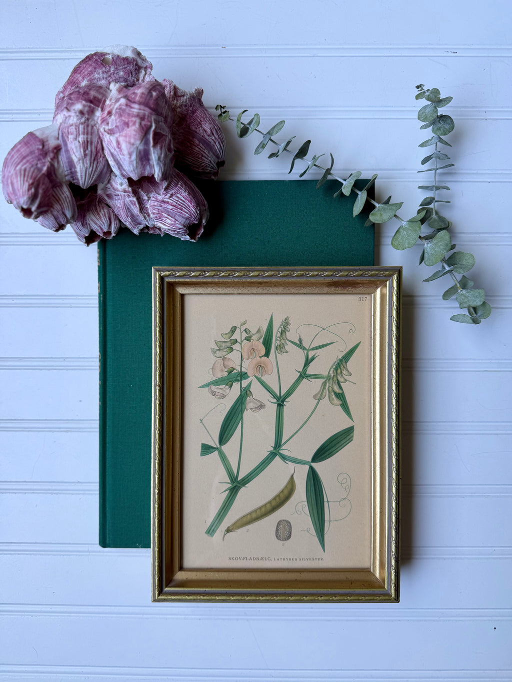 Antique Hand-Colored Botanical Lithograph (small) circa 1900