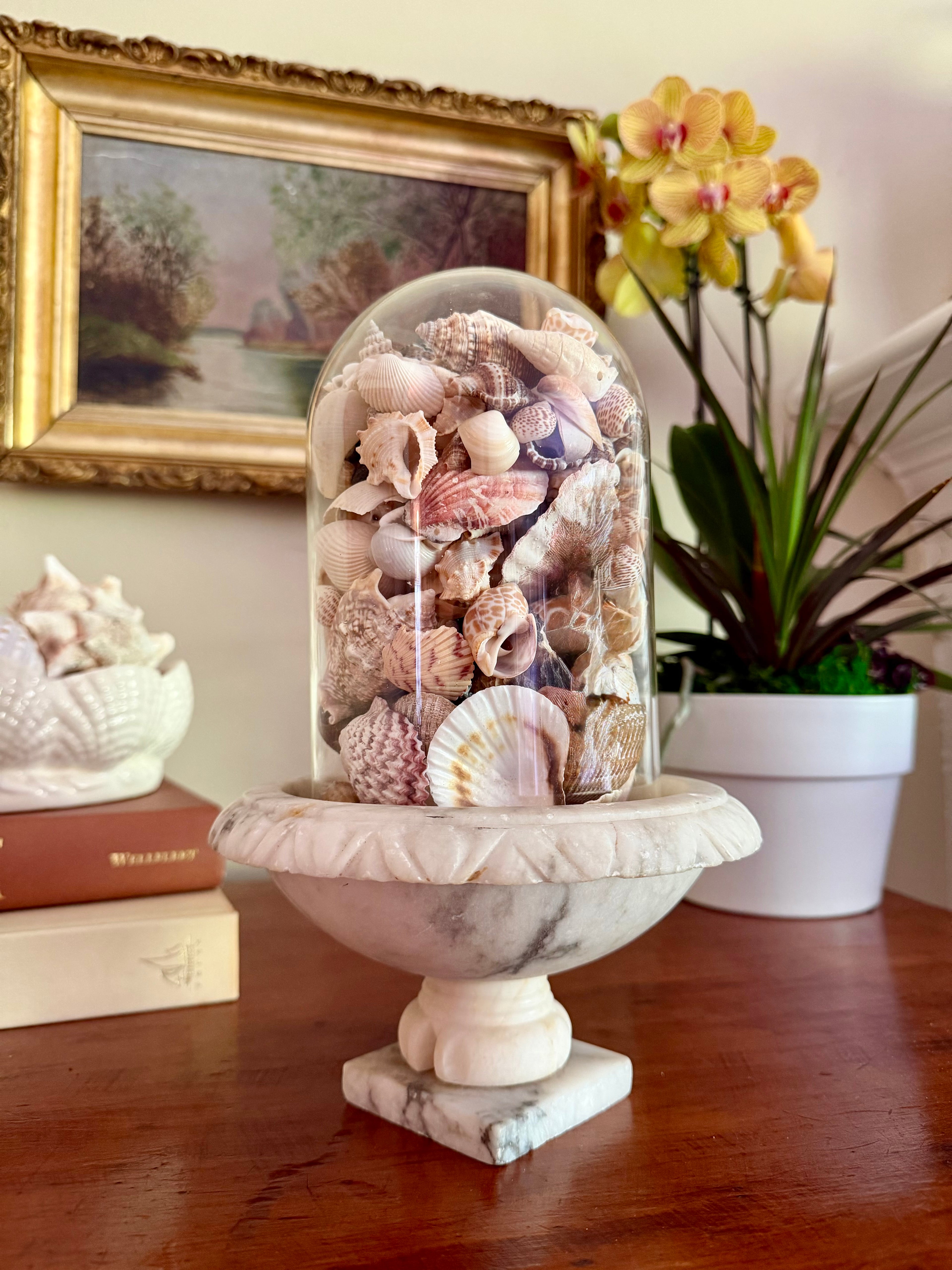 Birdbath Compote with Cloche and Shells