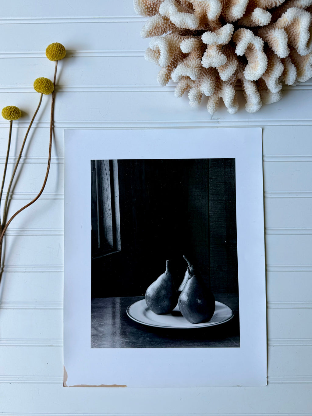 Moody Pear Print