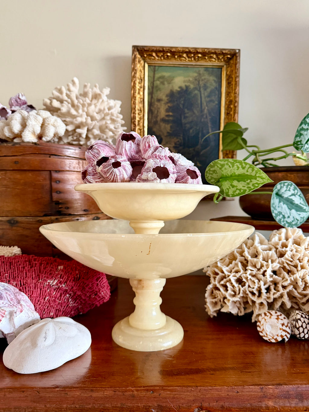 Alabaster Compote Bundle (set of 2)
