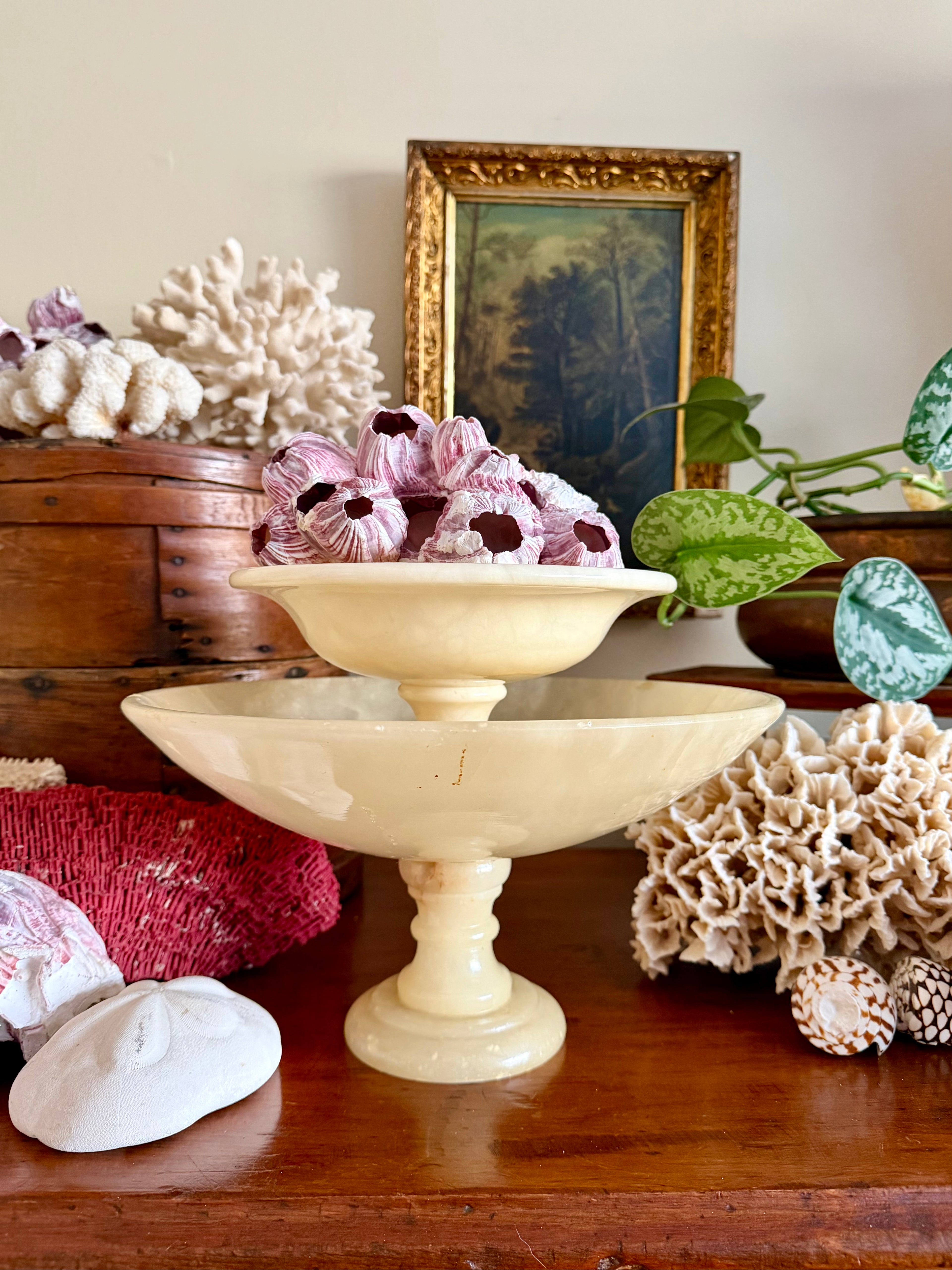 Alabaster Compote Bundle (set of 2)