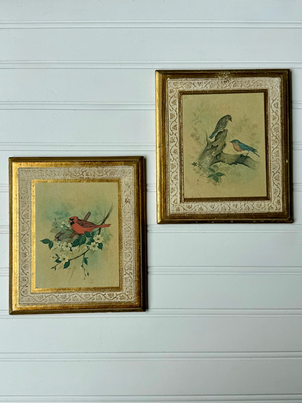 Bird Art on Wooden Florentine Plaques