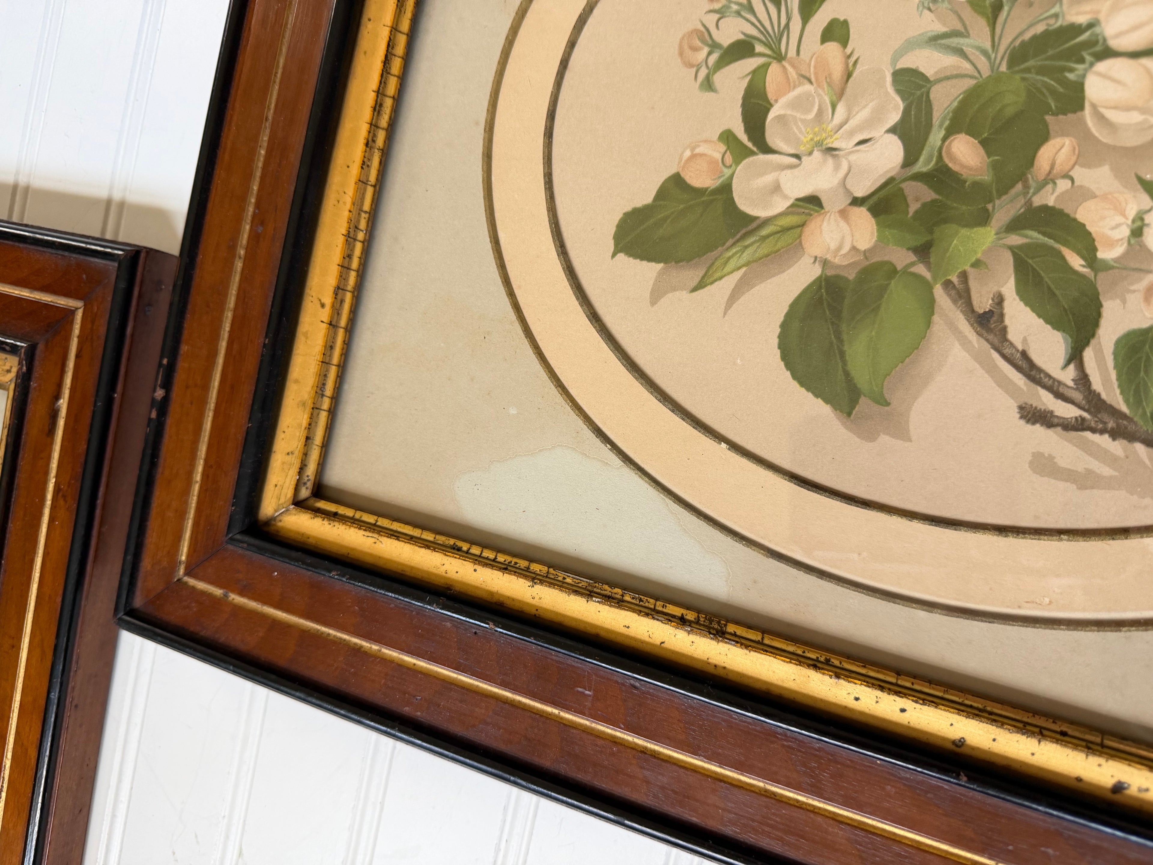 Floral Art in Antique Wood Frames