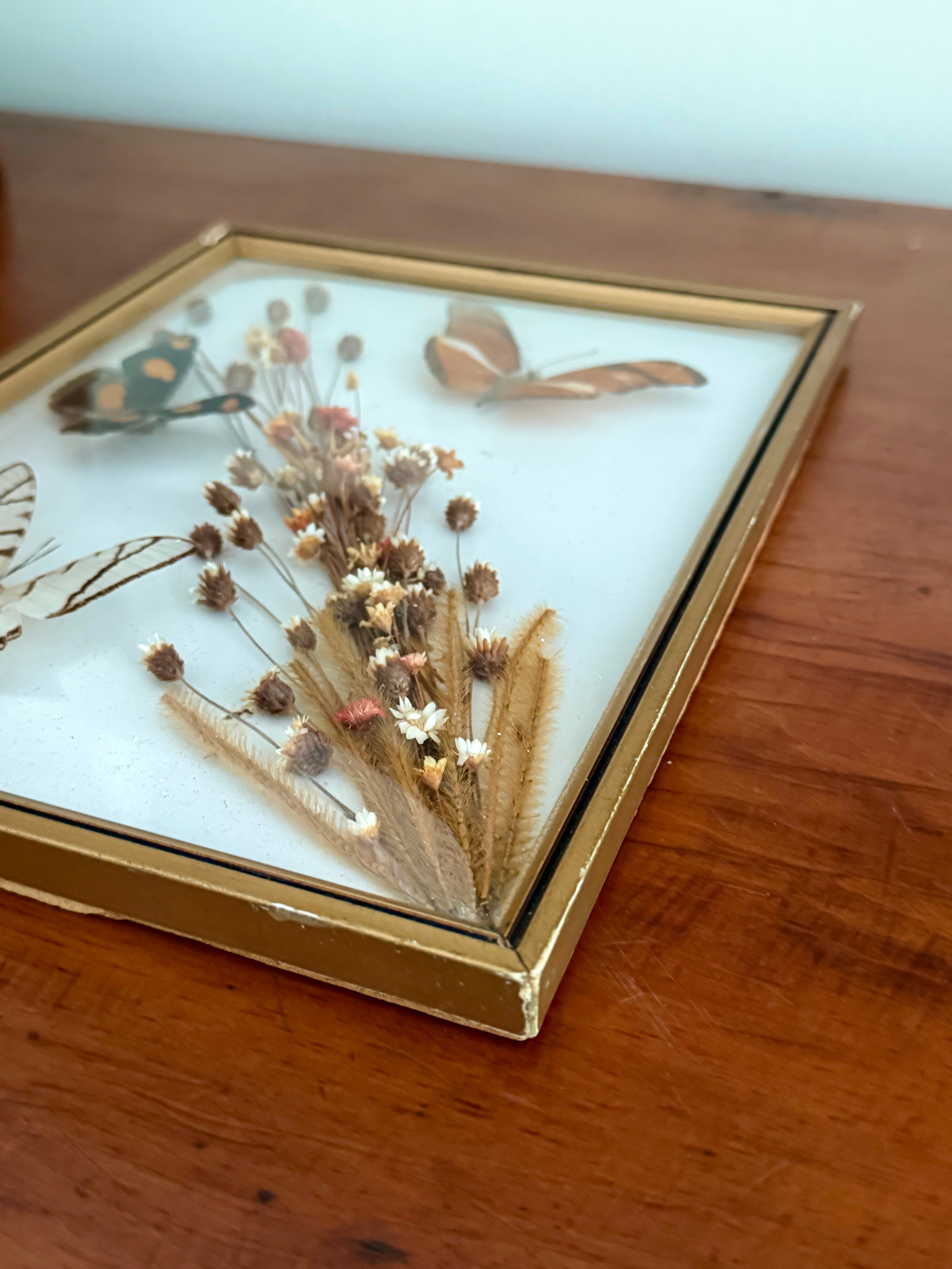 Framed Butterfly Specimens & Dried Florals