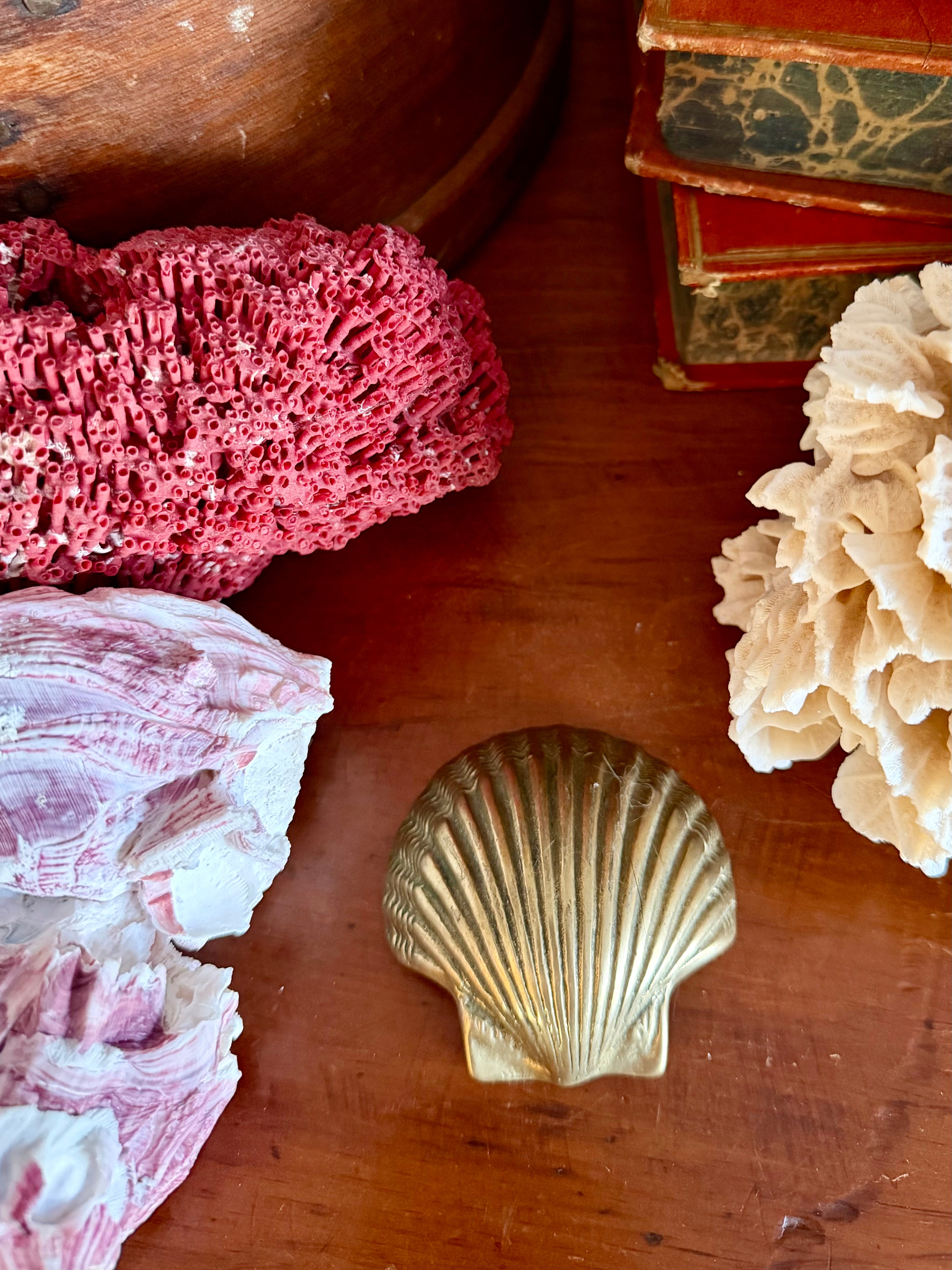Brass Seashell