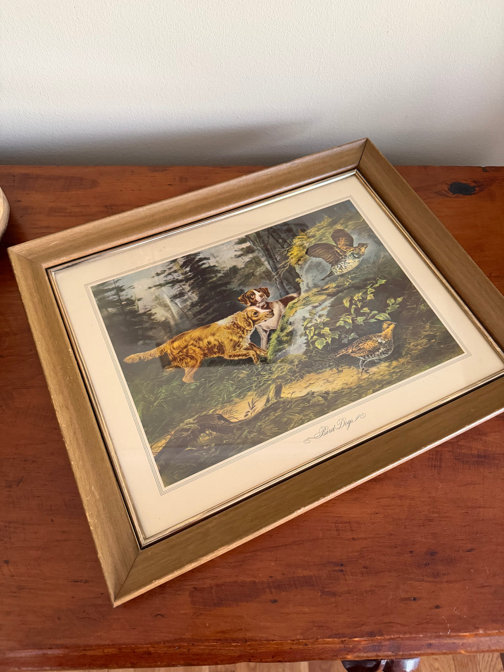 “Bird Dog” Framed Print