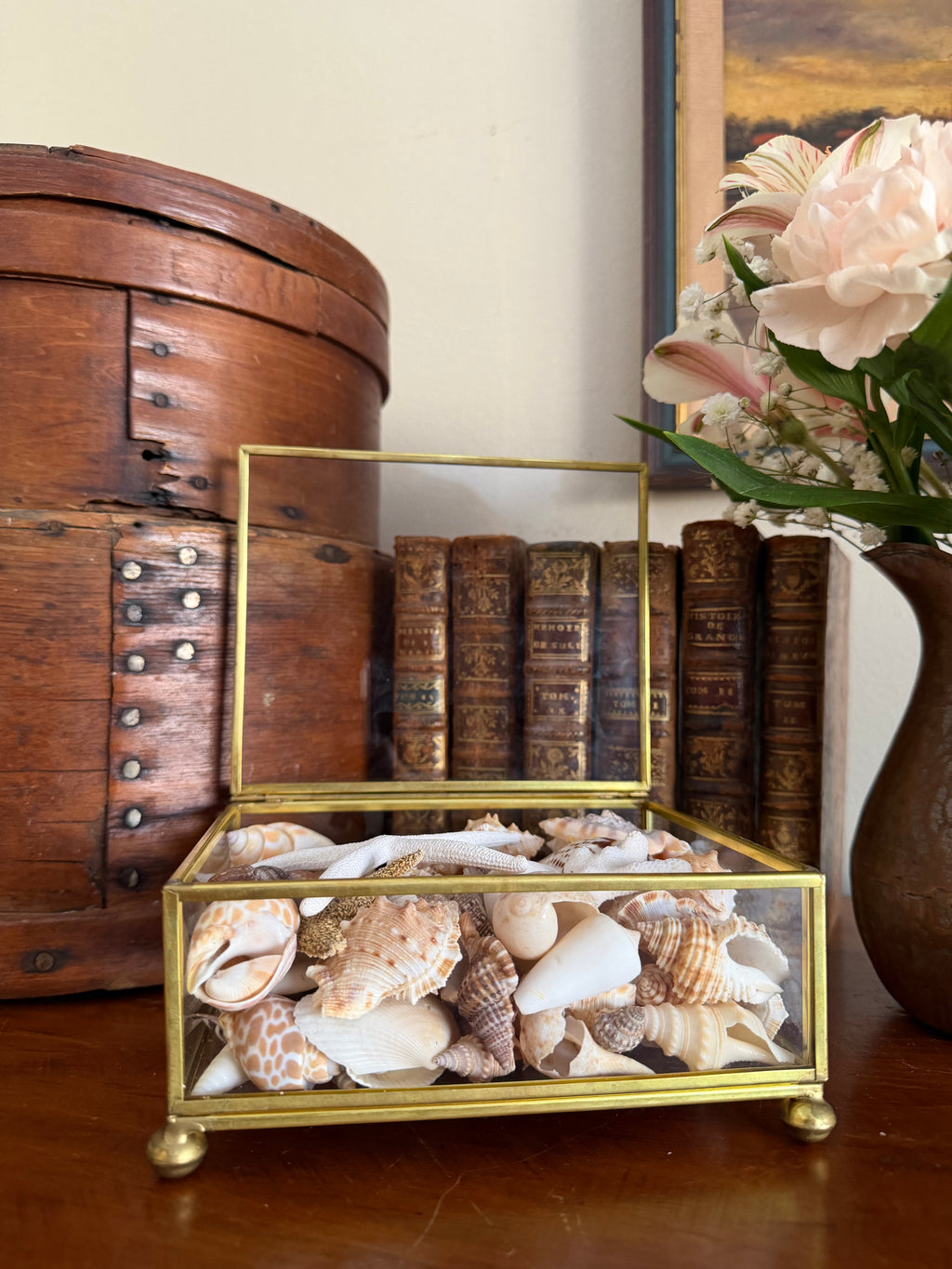 Brass and Glass Box filled with Shells