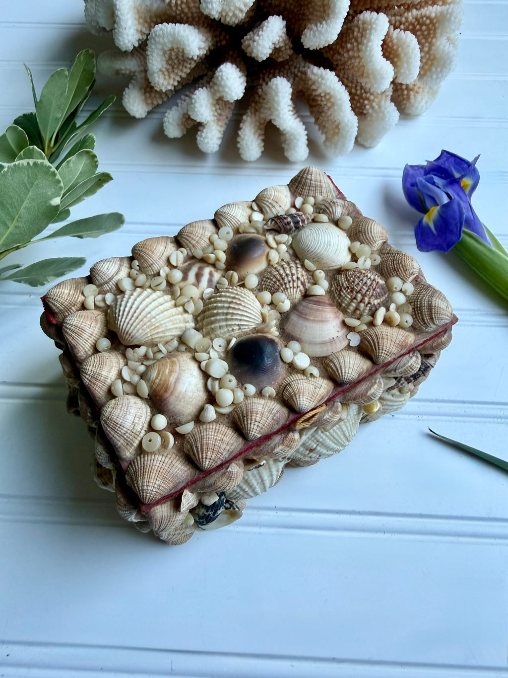 Small Vintage Shell Box