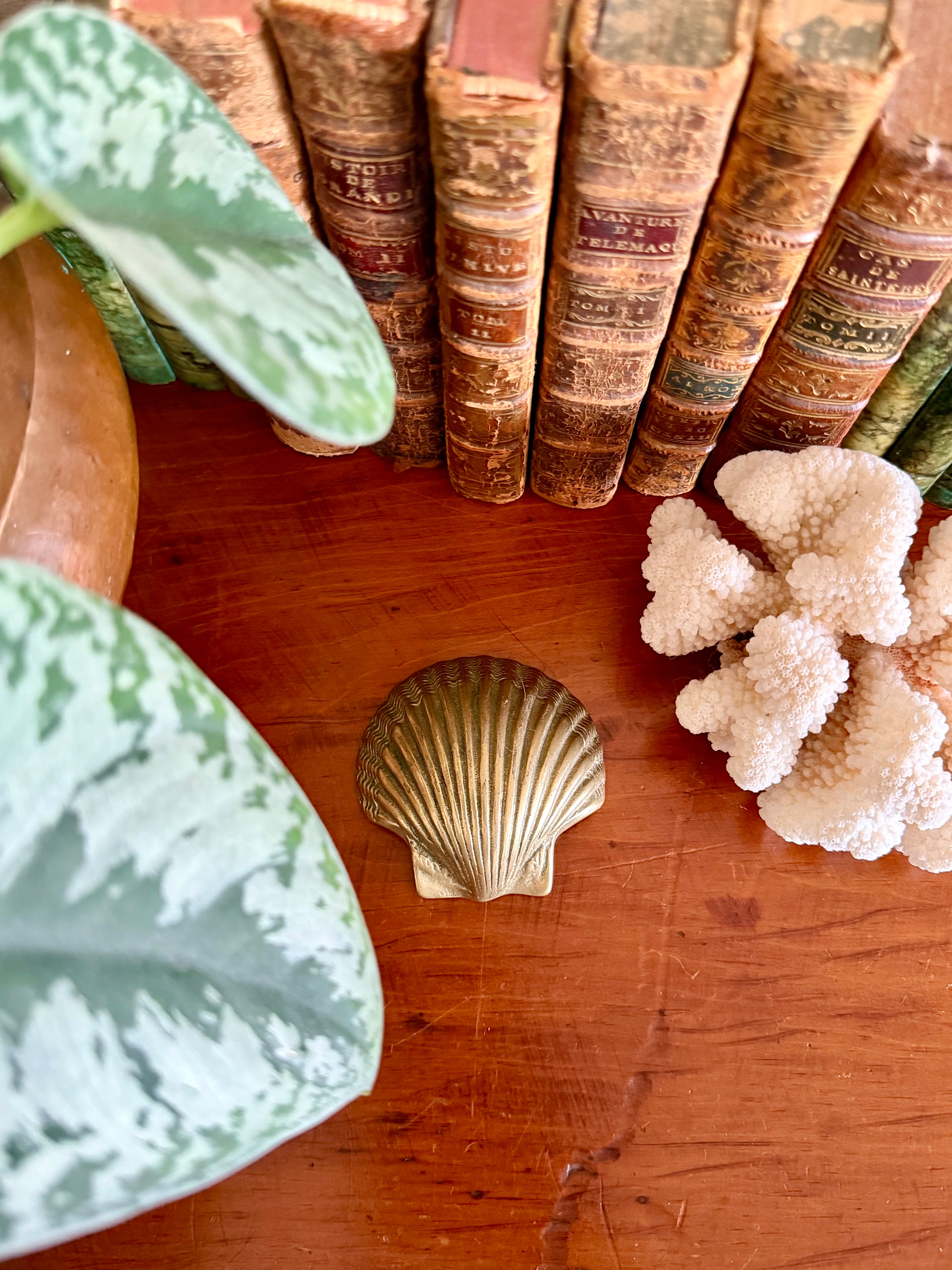 Brass Seashell