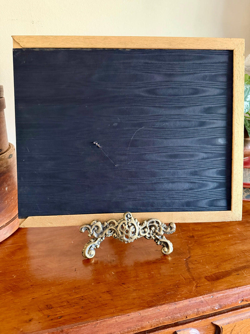 James Audubon "Least Bitten" framed plate