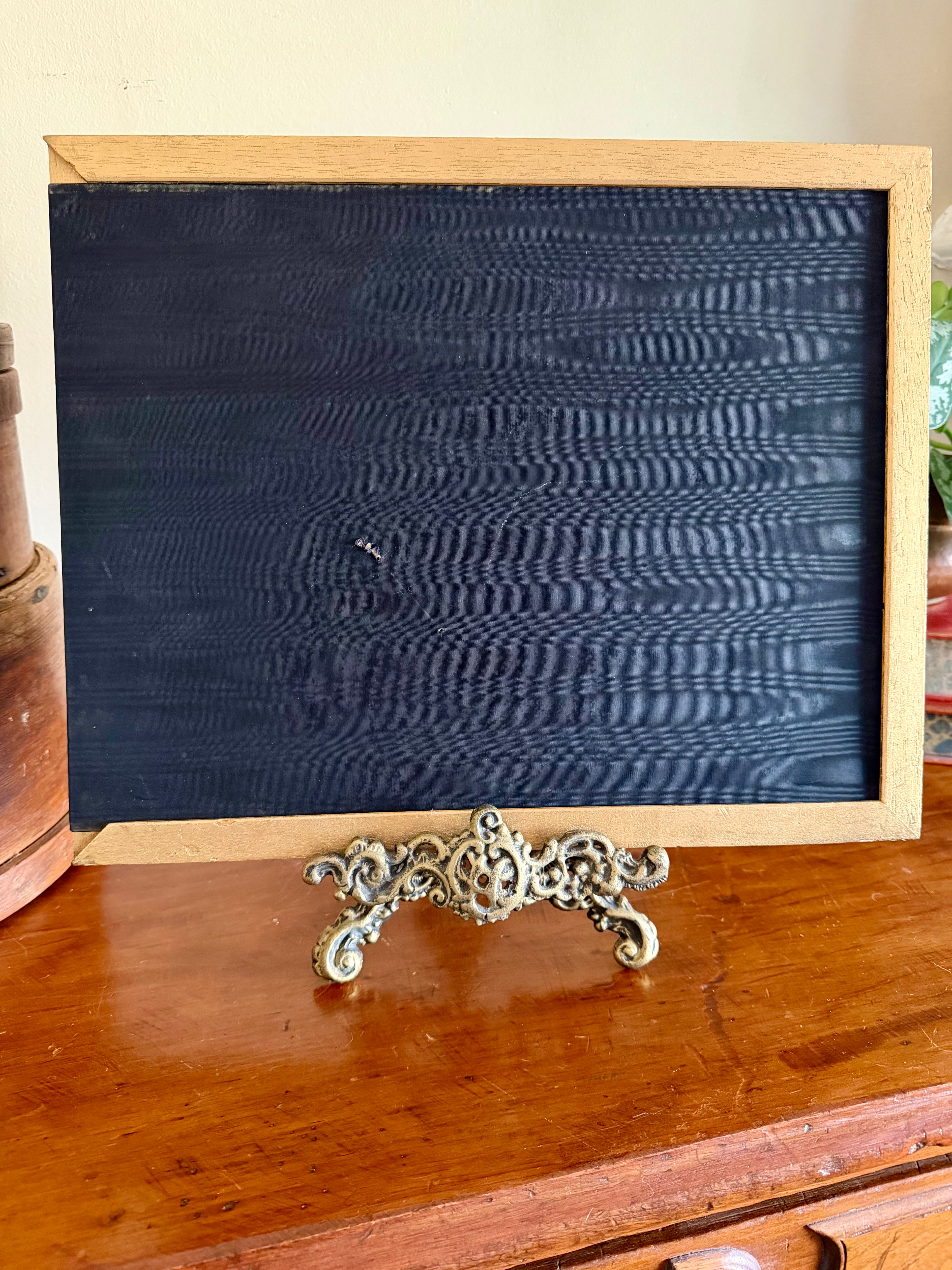 James Audubon "Least Bitten" framed plate