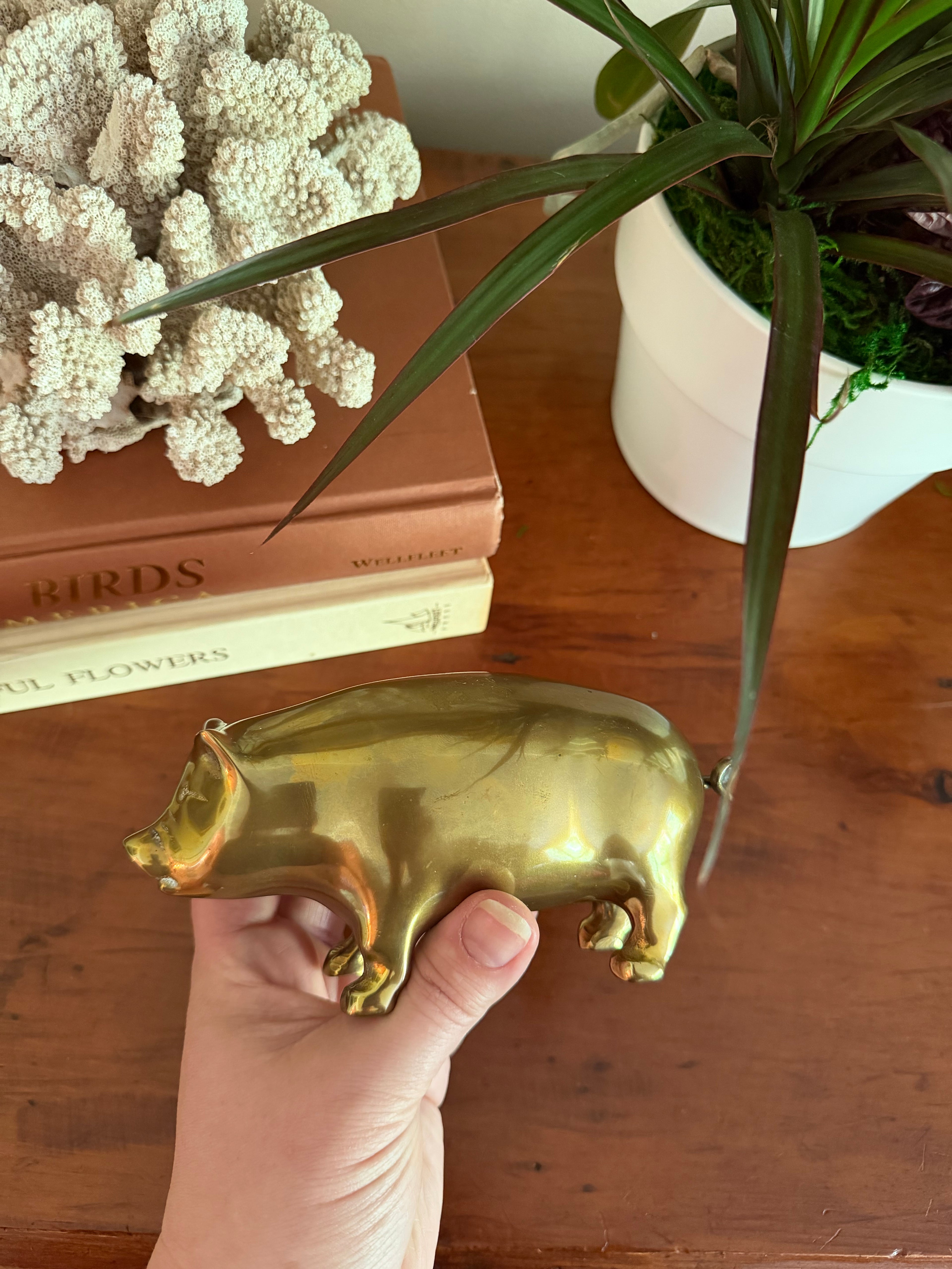 Large Brass Pig
