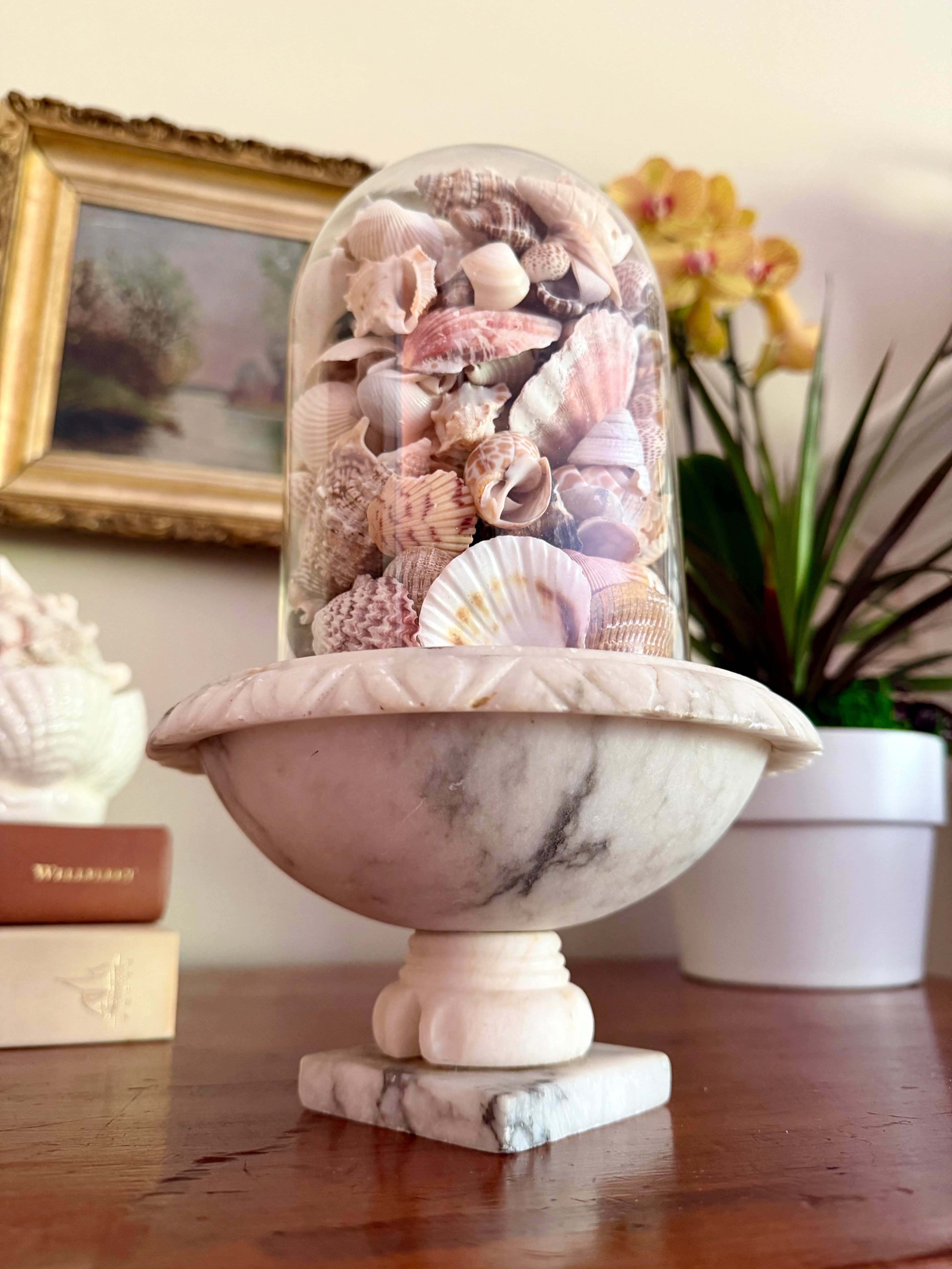 Birdbath Compote with Cloche and Shells