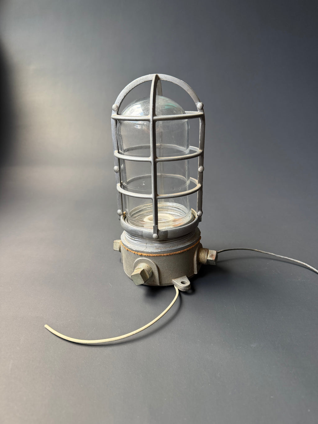 Industrial Cage Light
