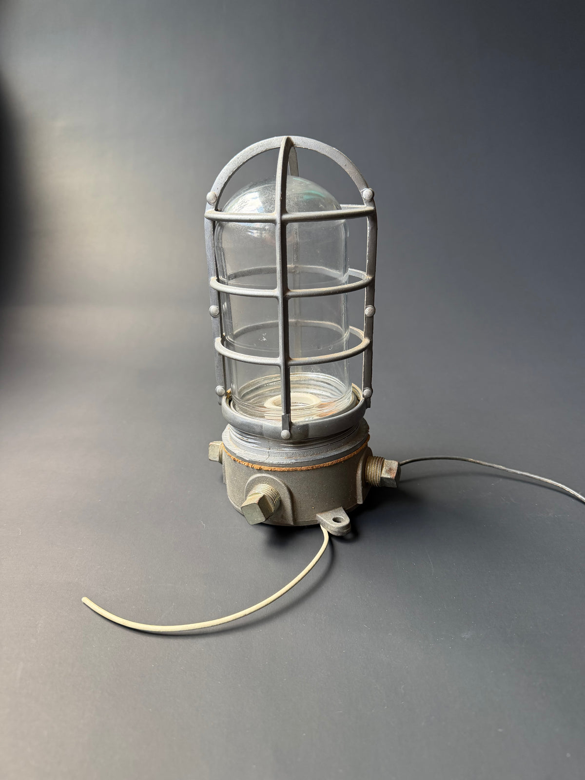 Industrial Cage Light