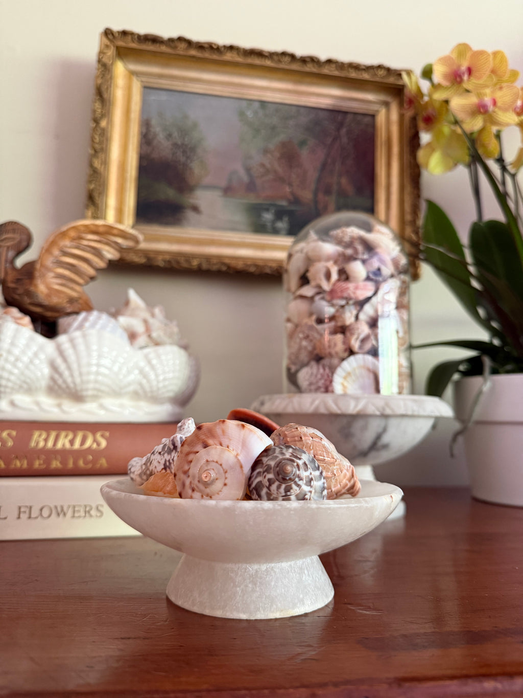 Mini Spanish Alabaster Compote and Shells