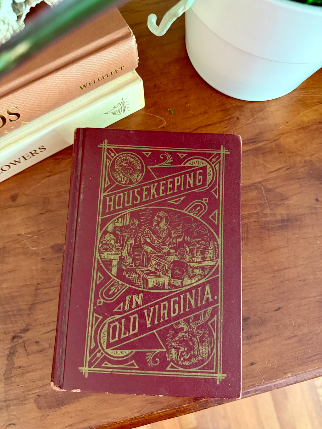 Antique Books: Housekeeping in Old Virginia (1879)