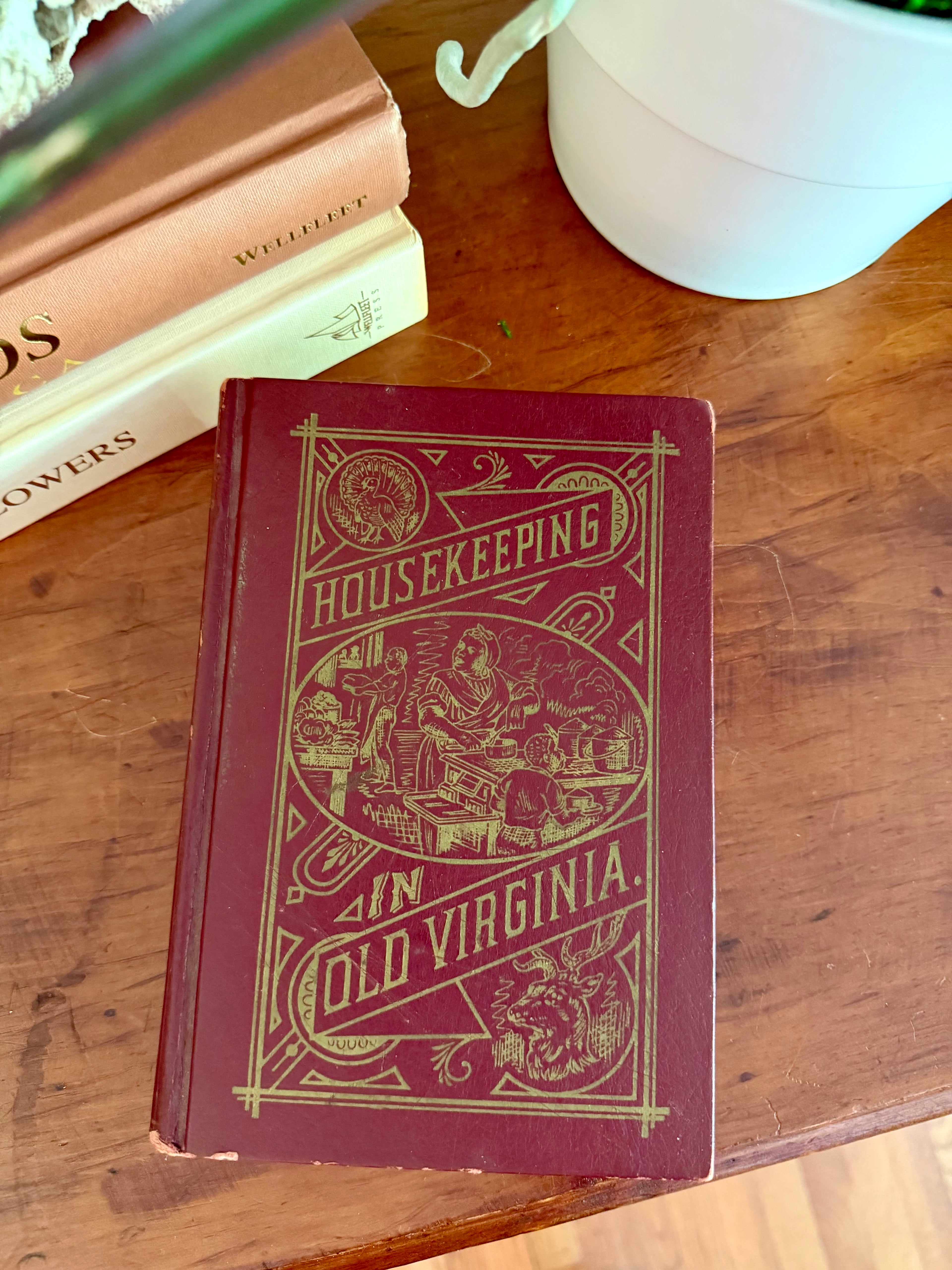 Antique Books: Housekeeping in Old Virginia (1879)