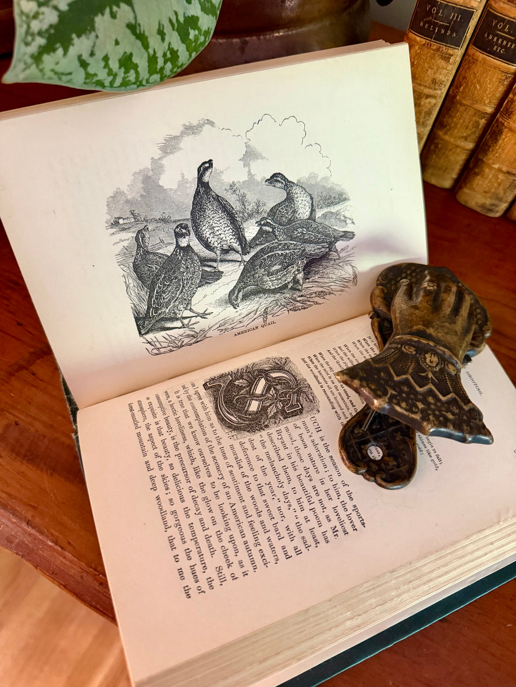 Antique Book: Frank Forest’s Field Sports (1873) Vol 1
