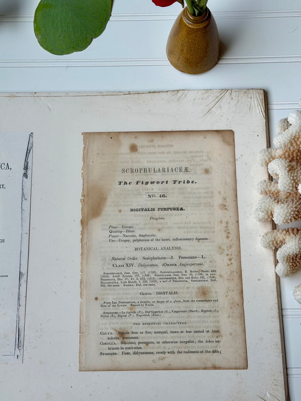 Antique Matted Floral Engraving