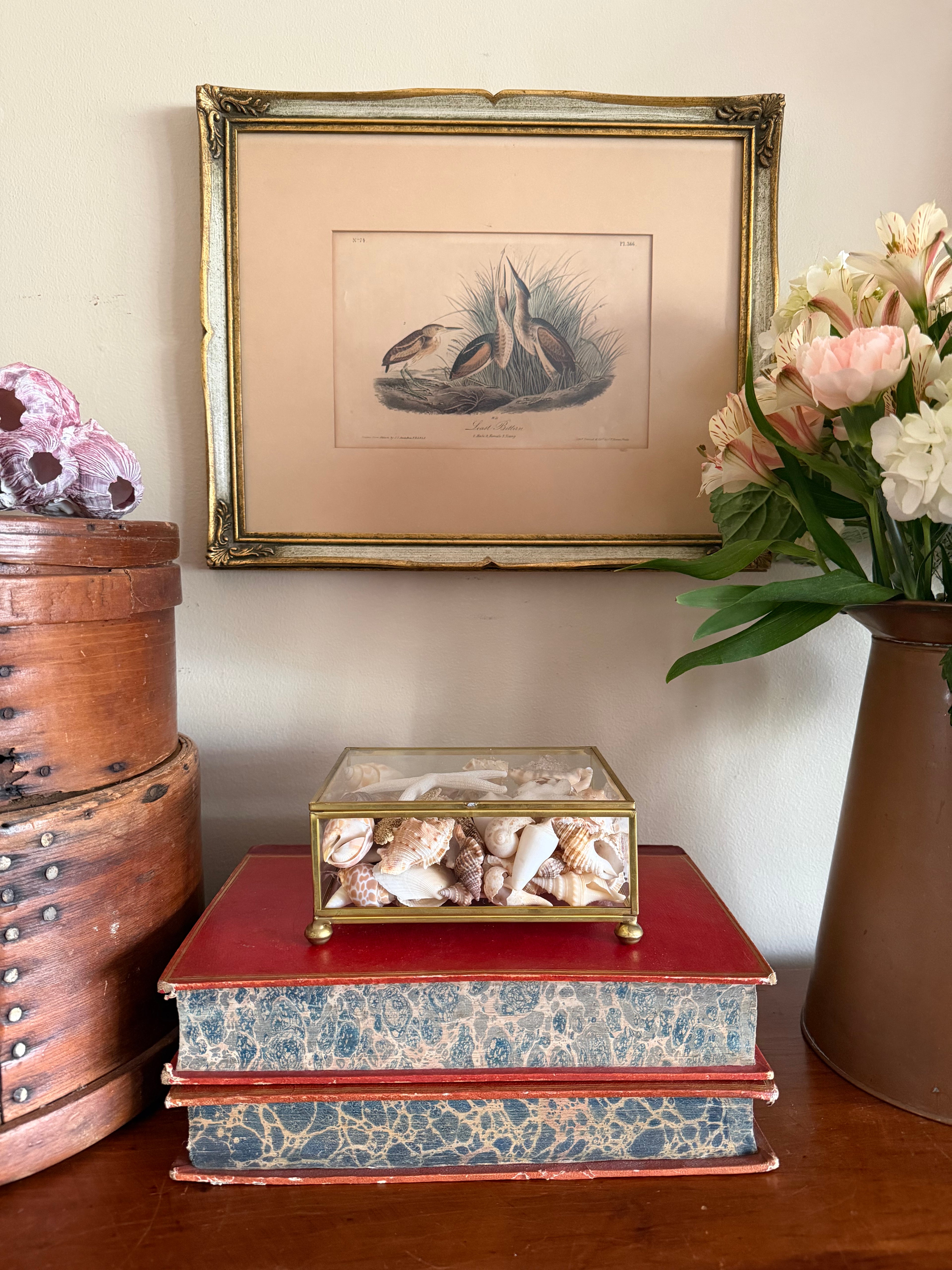 James Audubon "Least Bitten" framed plate