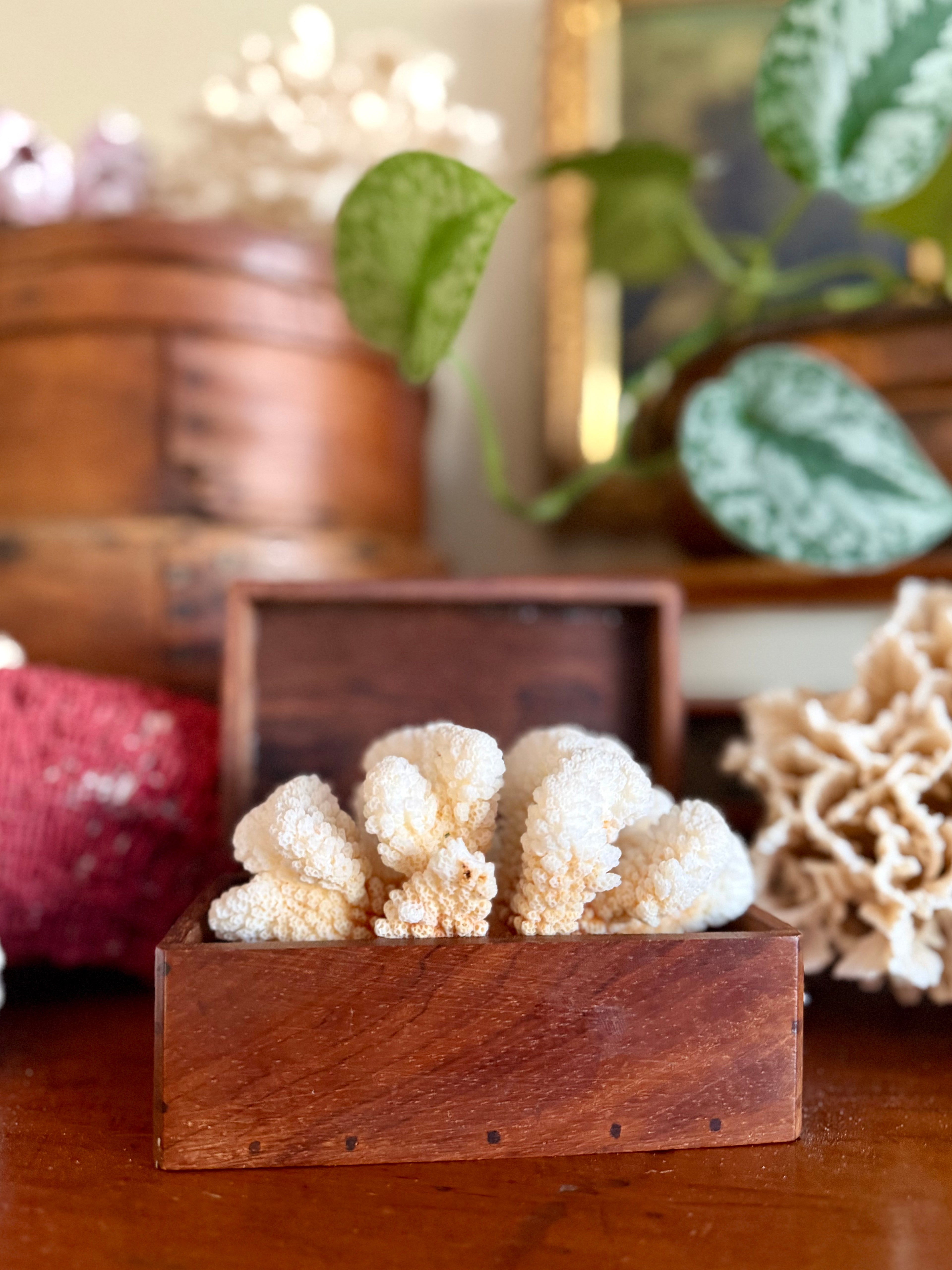 Small Wooden Handcrafted Keepsake Box