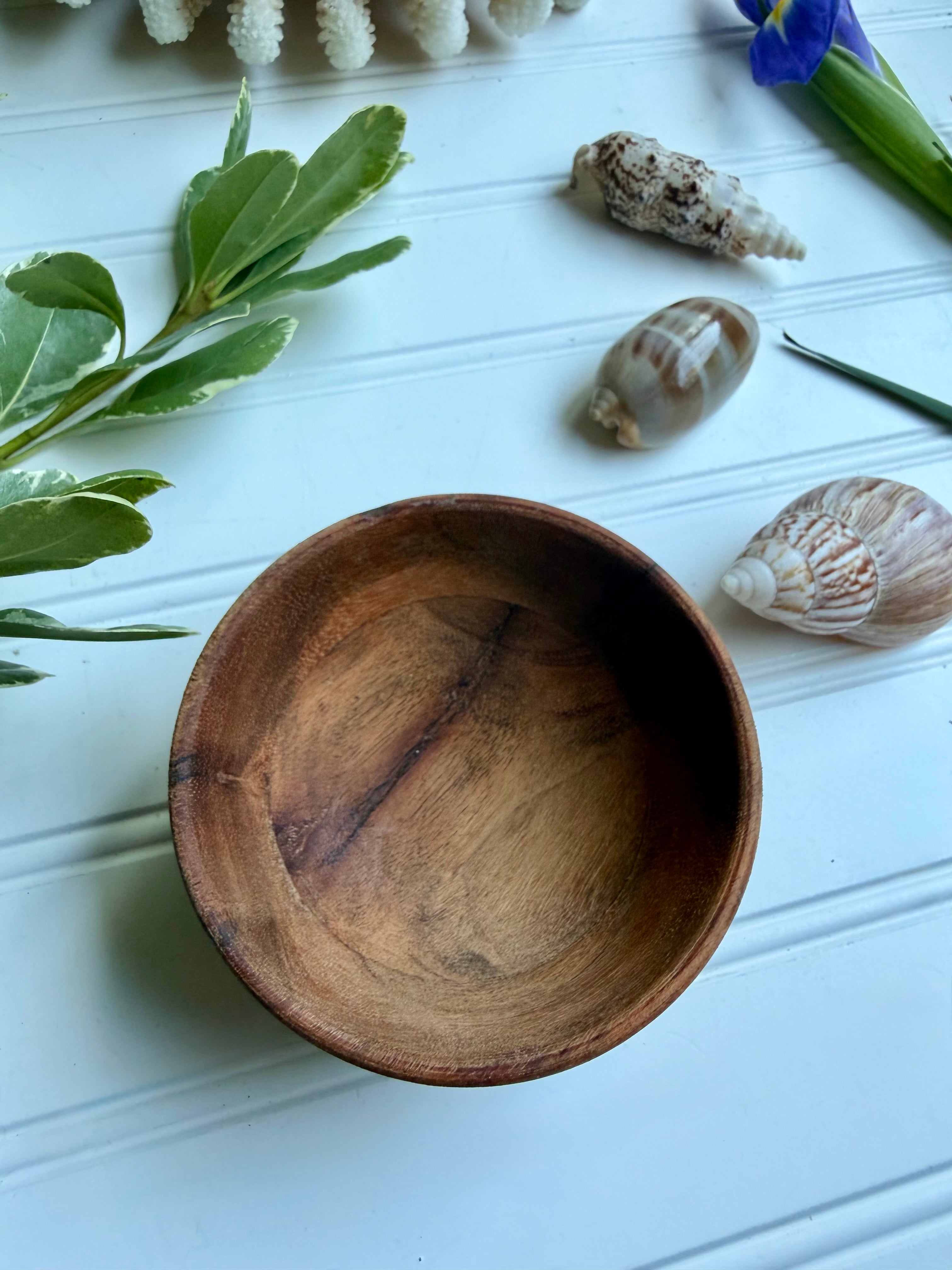 Small Wooden Bowl of Shells 2