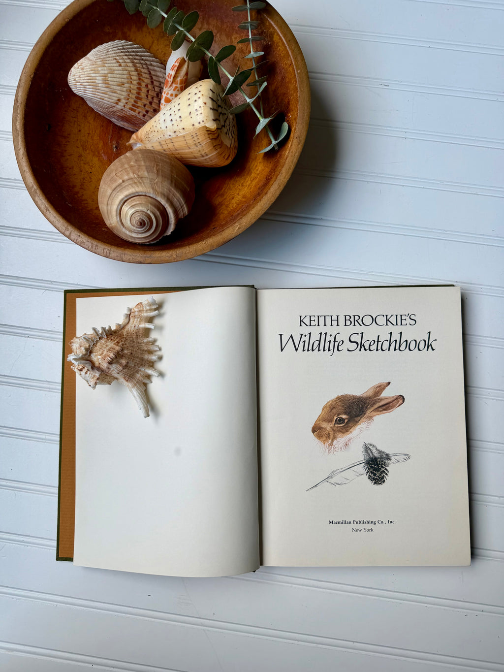 Vintage Book: Keith Brockie’s Wild Life Sketchbook (1981) First Edition
