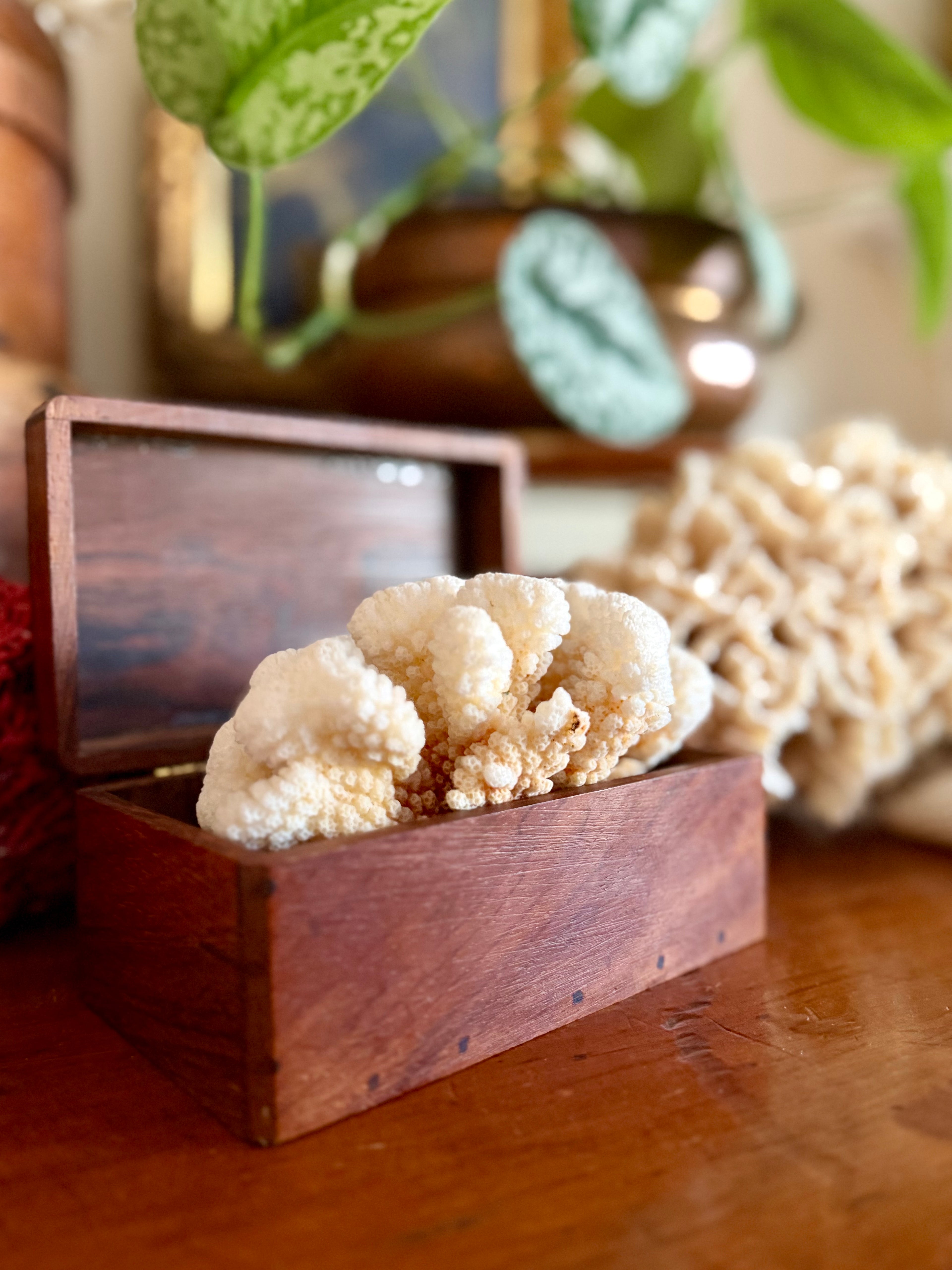 Small Wooden Handcrafted Keepsake Box