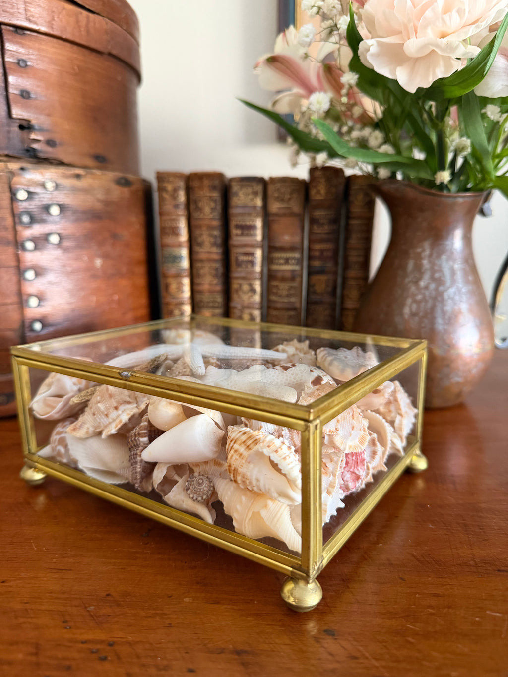 Brass and Glass Box filled with Shells