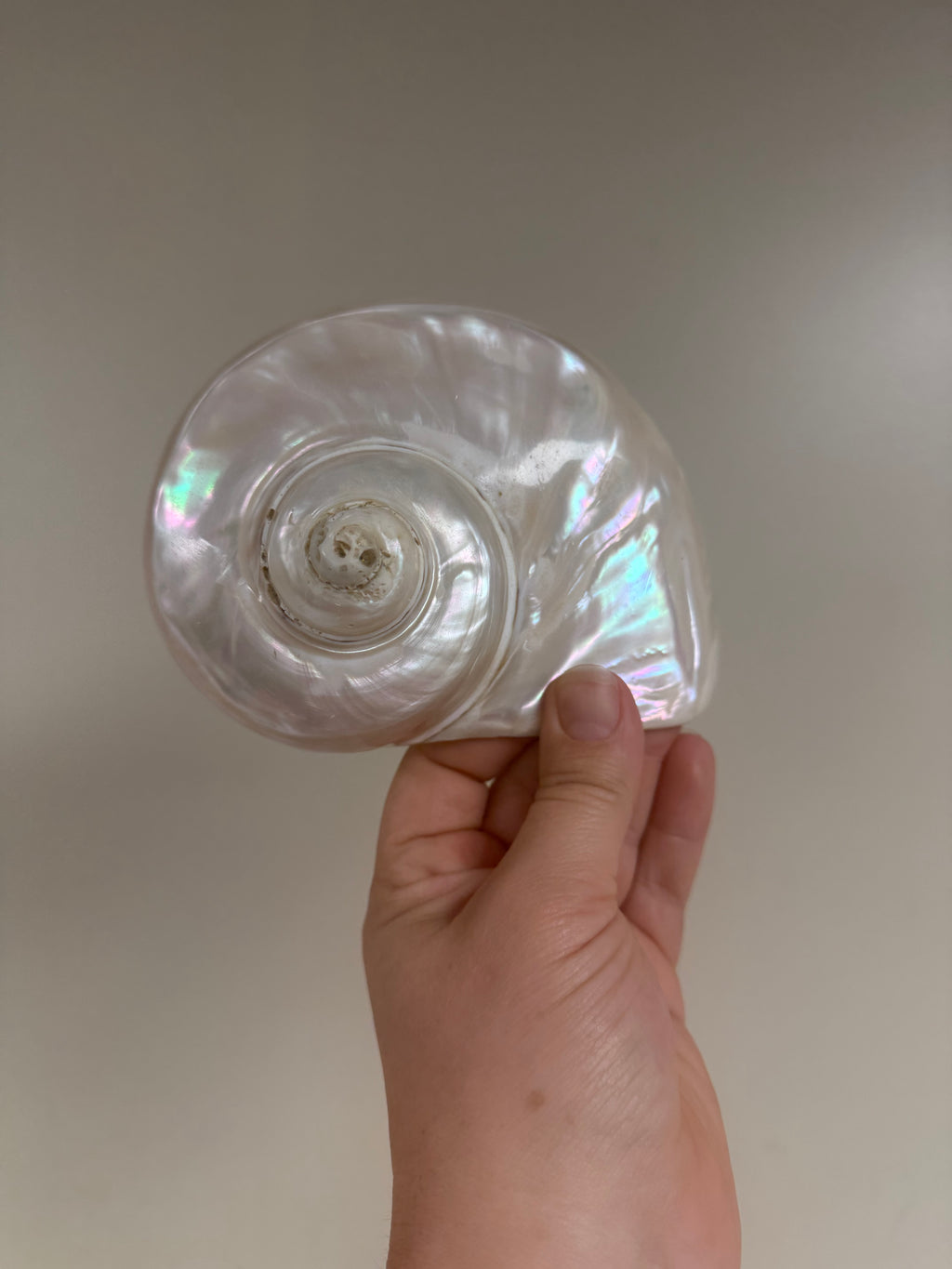 Large 6” Mother of Pear Turbo