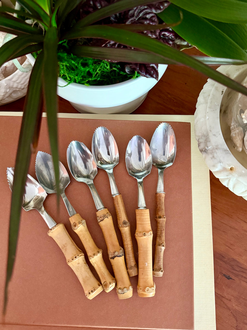 Bamboo Handle Spoons
