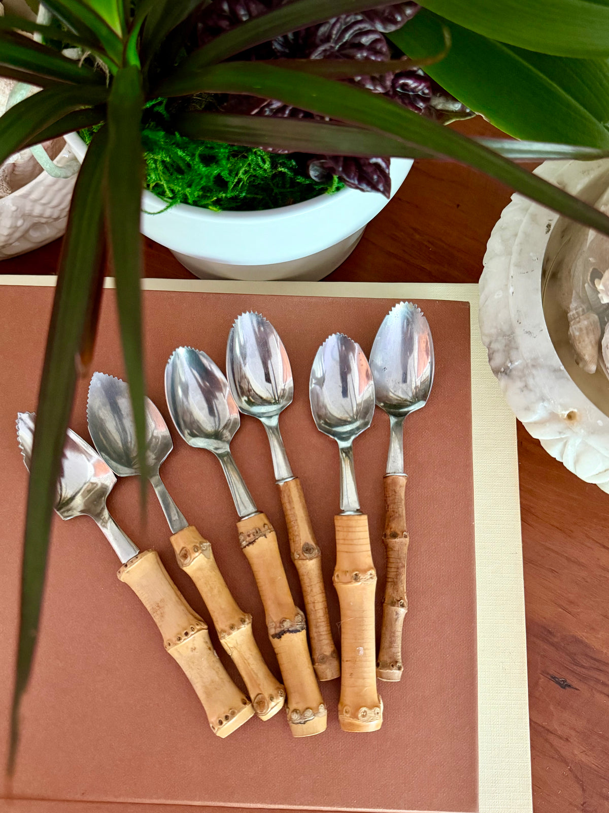 Bamboo Handle Spoons