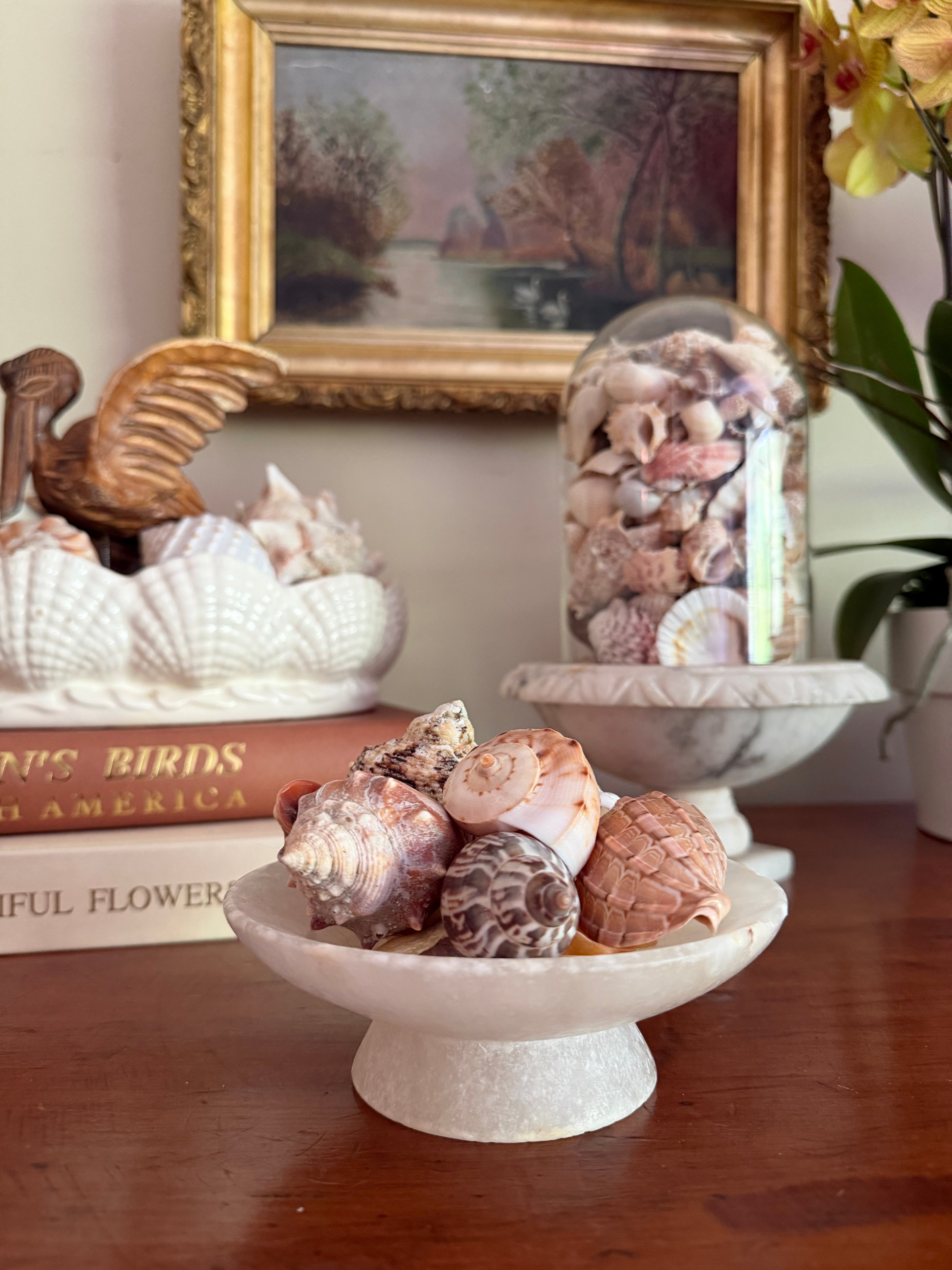 Mini Spanish Alabaster Compote and Shells