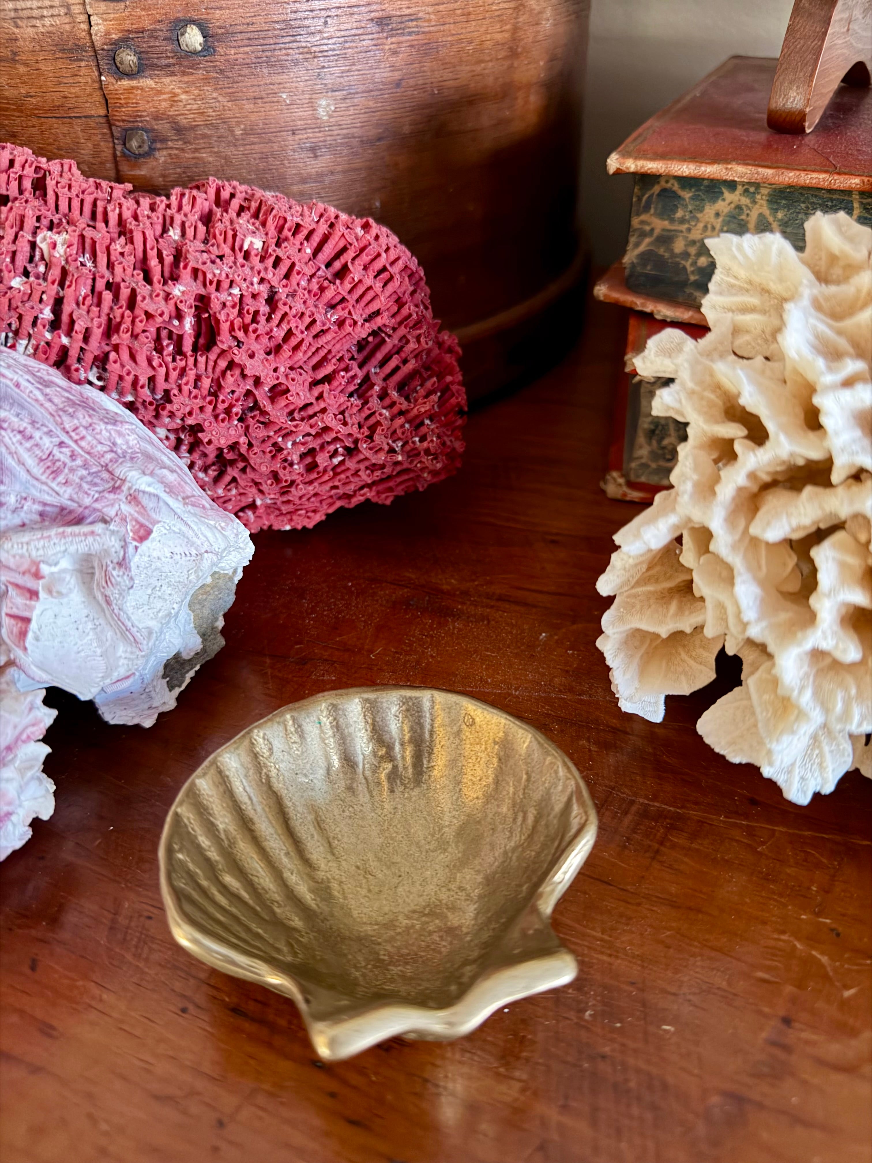 Brass Seashell